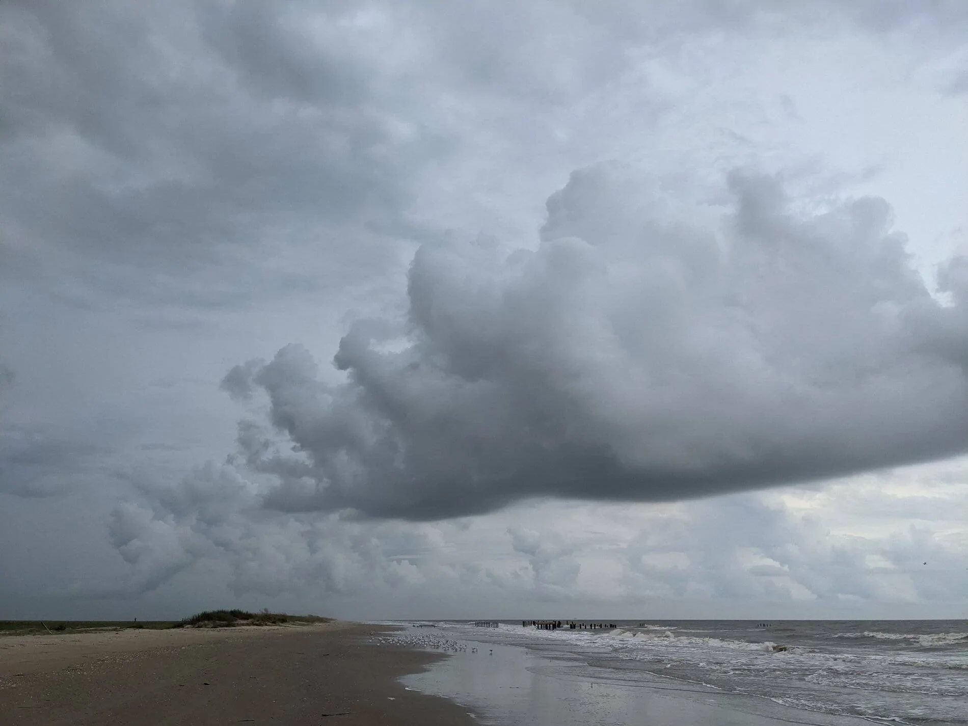 Ford Bronco Sport Trip Report: Bronco Sport in the Deep Soft Sands of Lost Highway 87 (SE TX) PXL_20211001_174943636