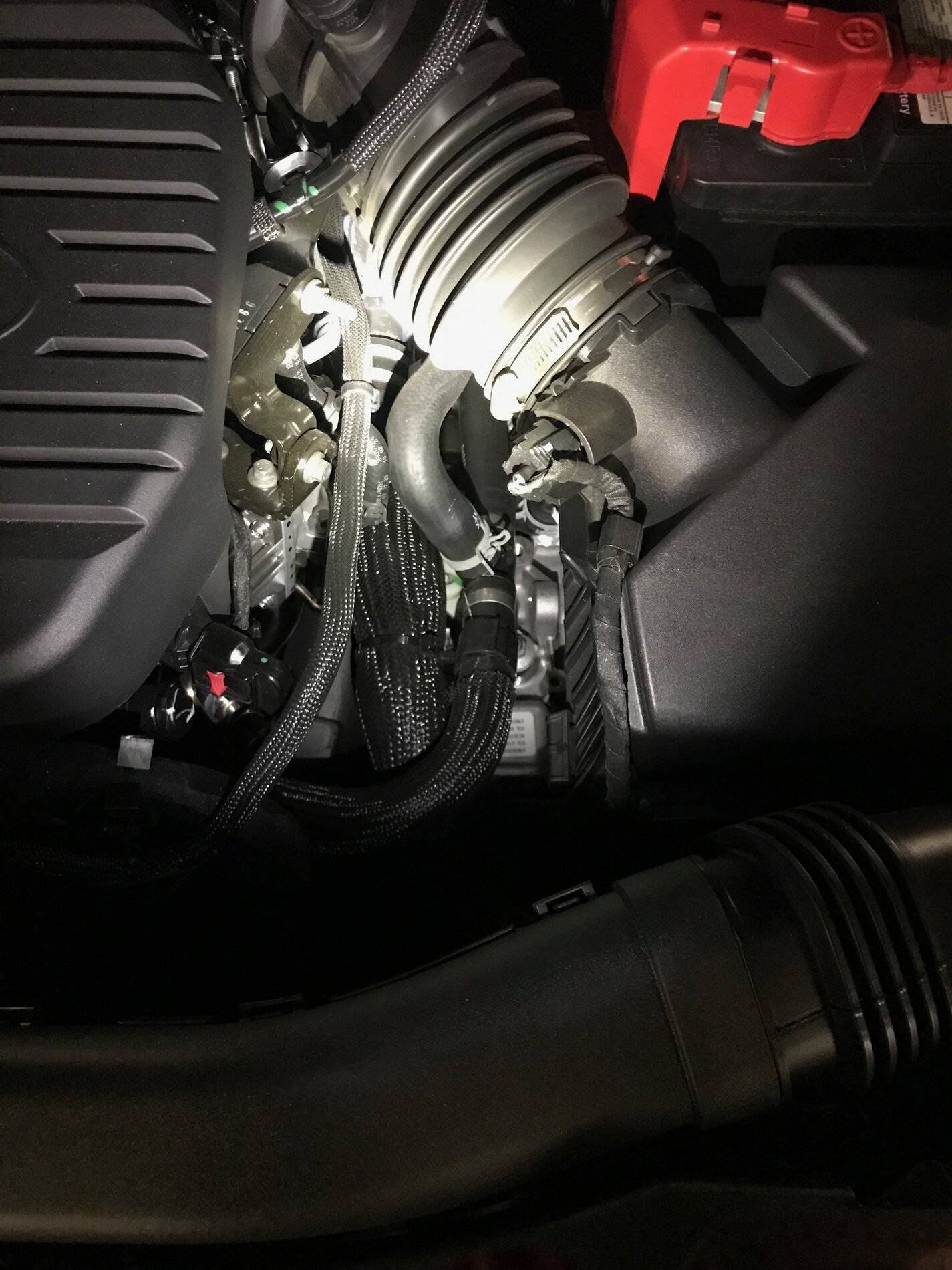 Ford Bronco Sport On this episode of, "Is this noise normal?"... IMG_7565