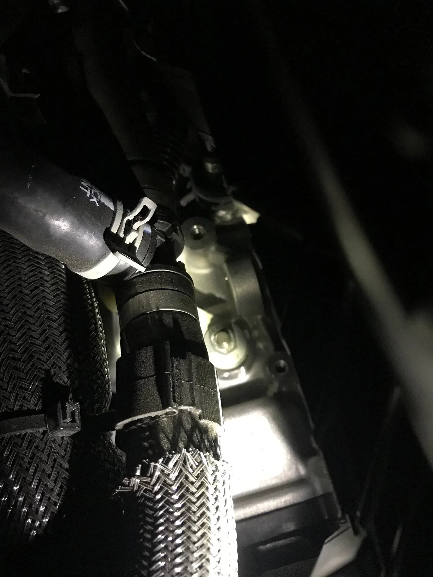 Ford Bronco Sport On this episode of, "Is this noise normal?"... IMG_7567