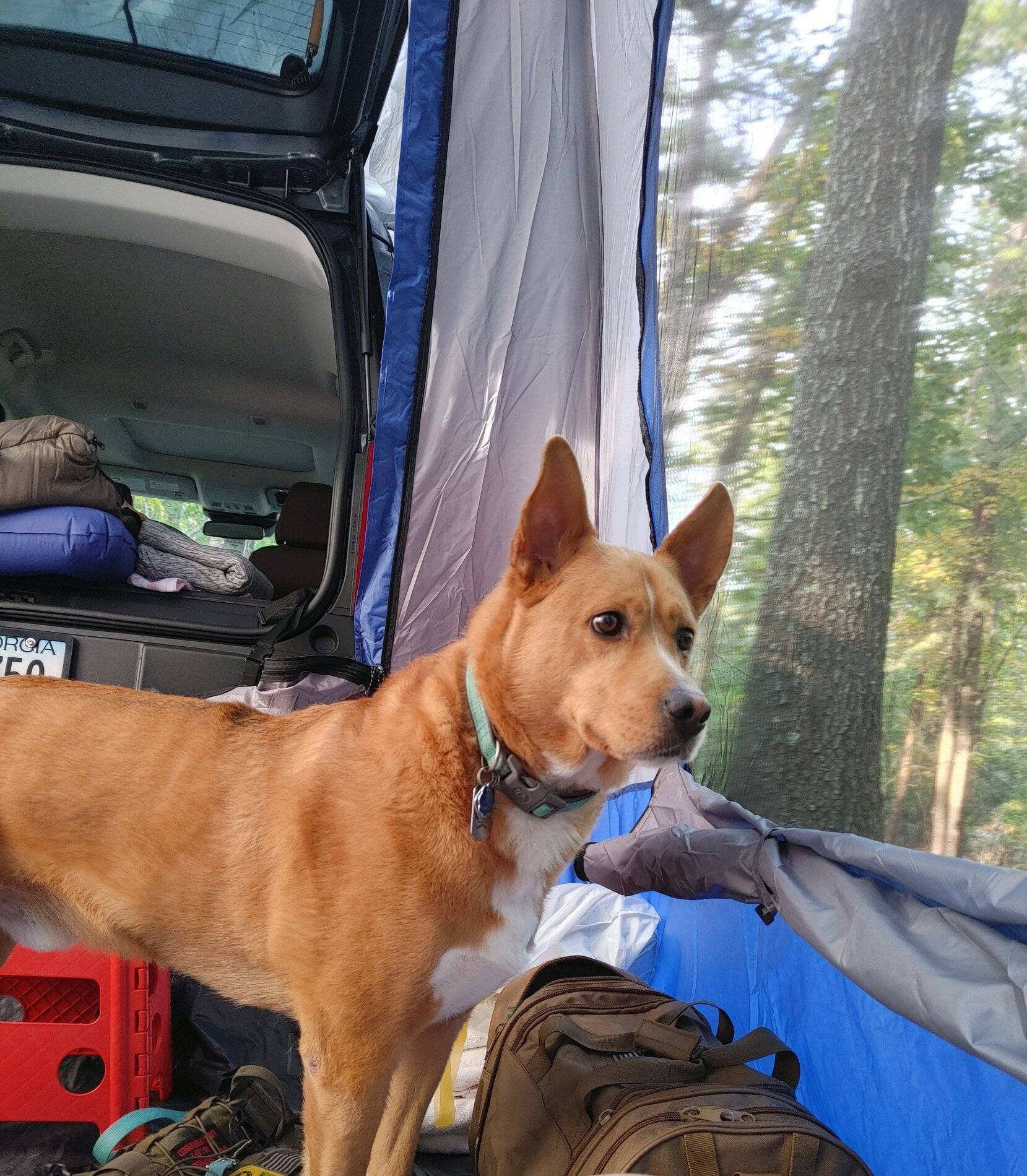 Ford Bronco Sport Georgia BS Badlands Build Thread 1002211724_HDR