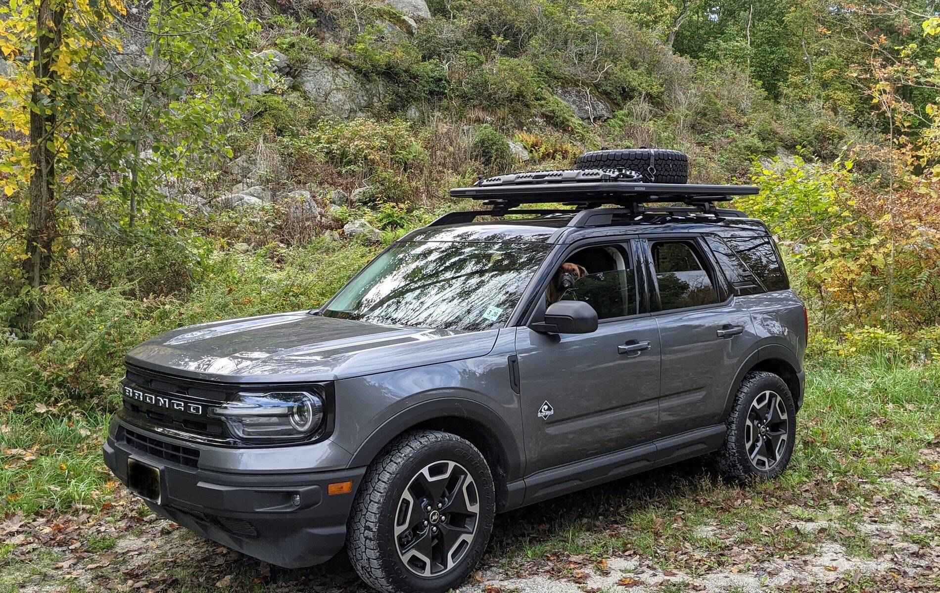 Ford Bronco Sport Let's see those Fall Foliage pictures PXL_20211008_155239594~2
