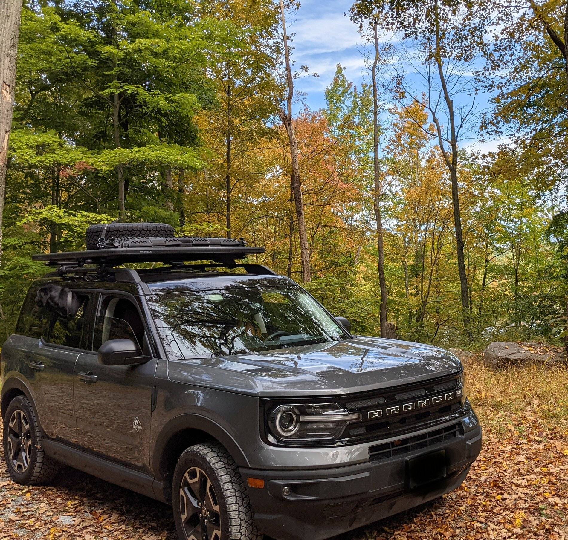 Ford Bronco Sport Let's see those Fall Foliage pictures PXL_20211008_154951277~2