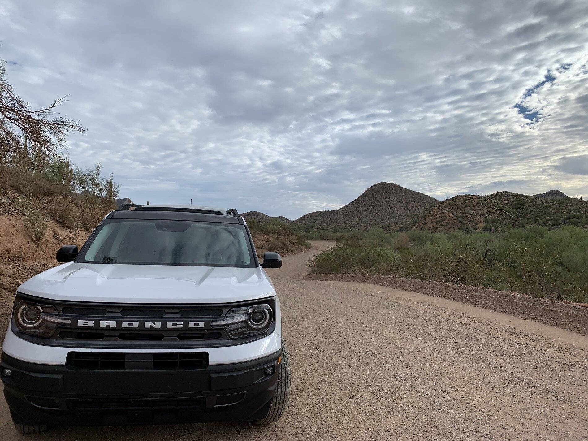 Ford Bronco Sport Post the best photos you've got of your Bronco Sport 9B120865-C0C8-400A-8C08-8E227860434D