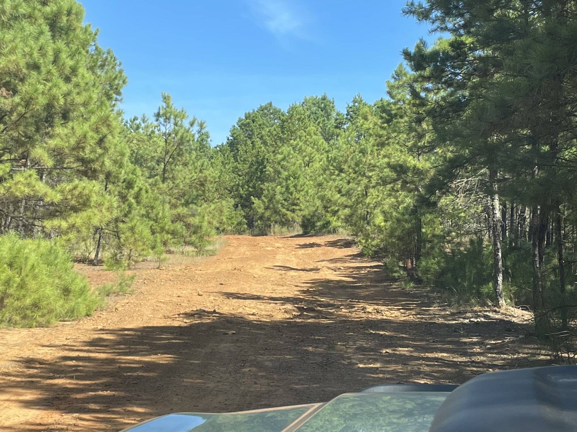 Ford Bronco Sport Post the best photos you've got of your Bronco Sport D0283D5D-5734-407F-AAFD-8037007478B5