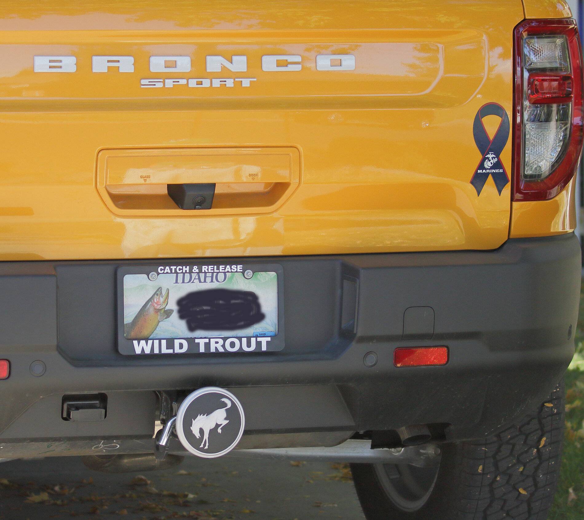 Ford Bronco Sport Tow Hook and Dressing up the Trailer Hitch IMG_3728.JPG-8.jpg-1