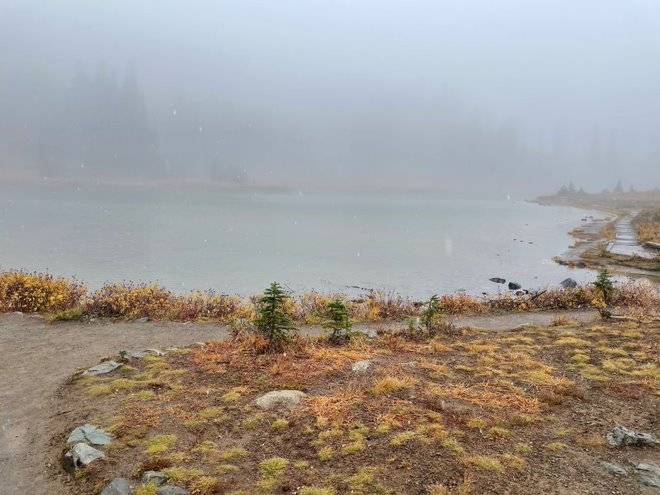 Ford Bronco Sport Where have you gone today in your BS: Light Edition lFjxMsj0L-9jzCQ?width=660&height=495&cropmode=none