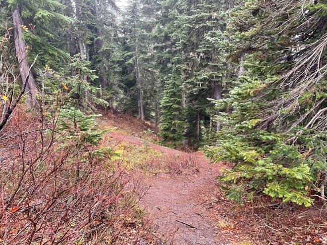 Ford Bronco Sport Where have you gone today in your BS: Light Edition KkW_mdkJuVu-J_y?width=660&height=495&cropmode=none