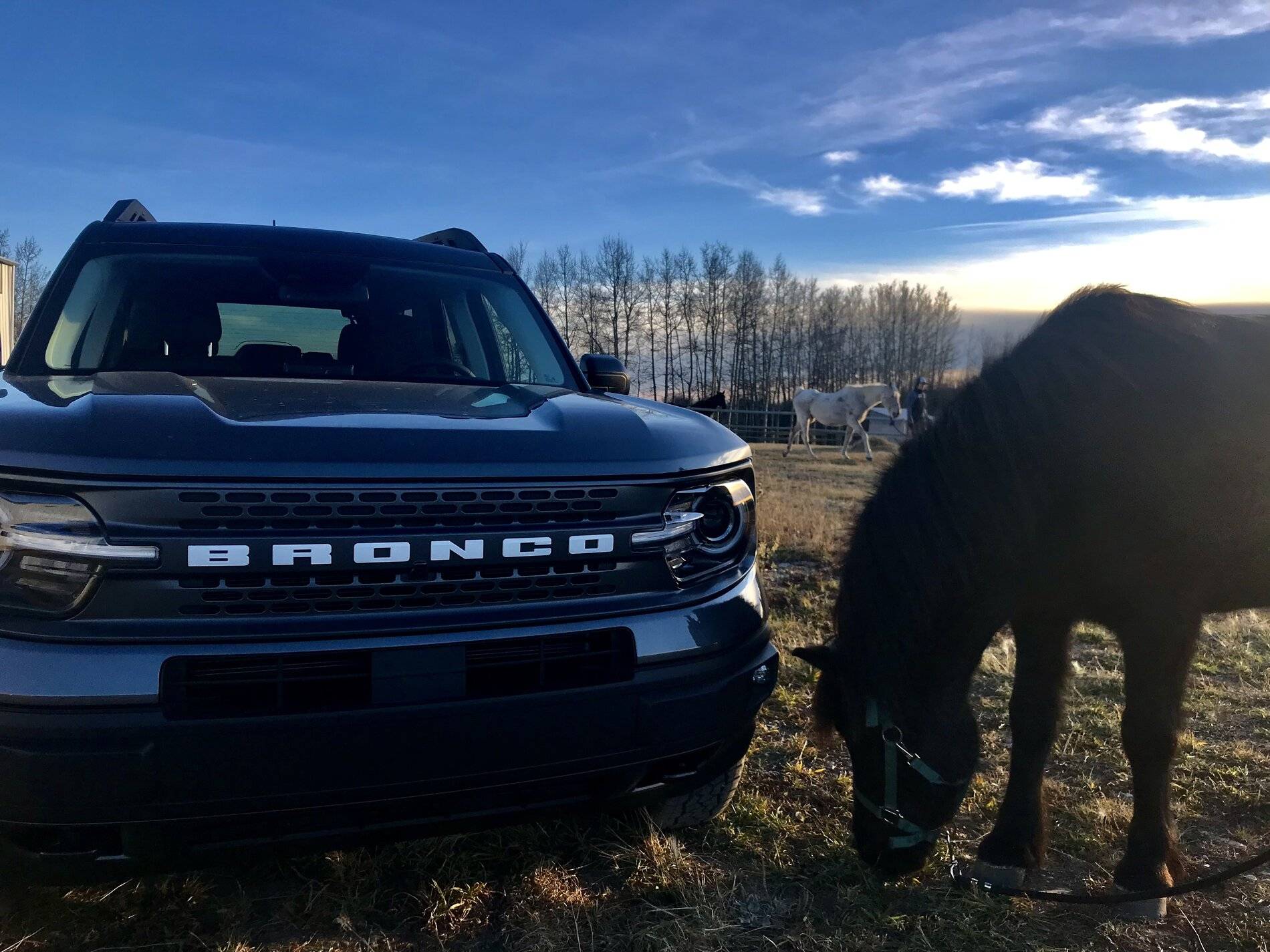 Ford Bronco Sport Post the best photos you've got of your Bronco Sport B9DF057A-1FF7-4DF9-9D55-5FF0C5ACC2BB