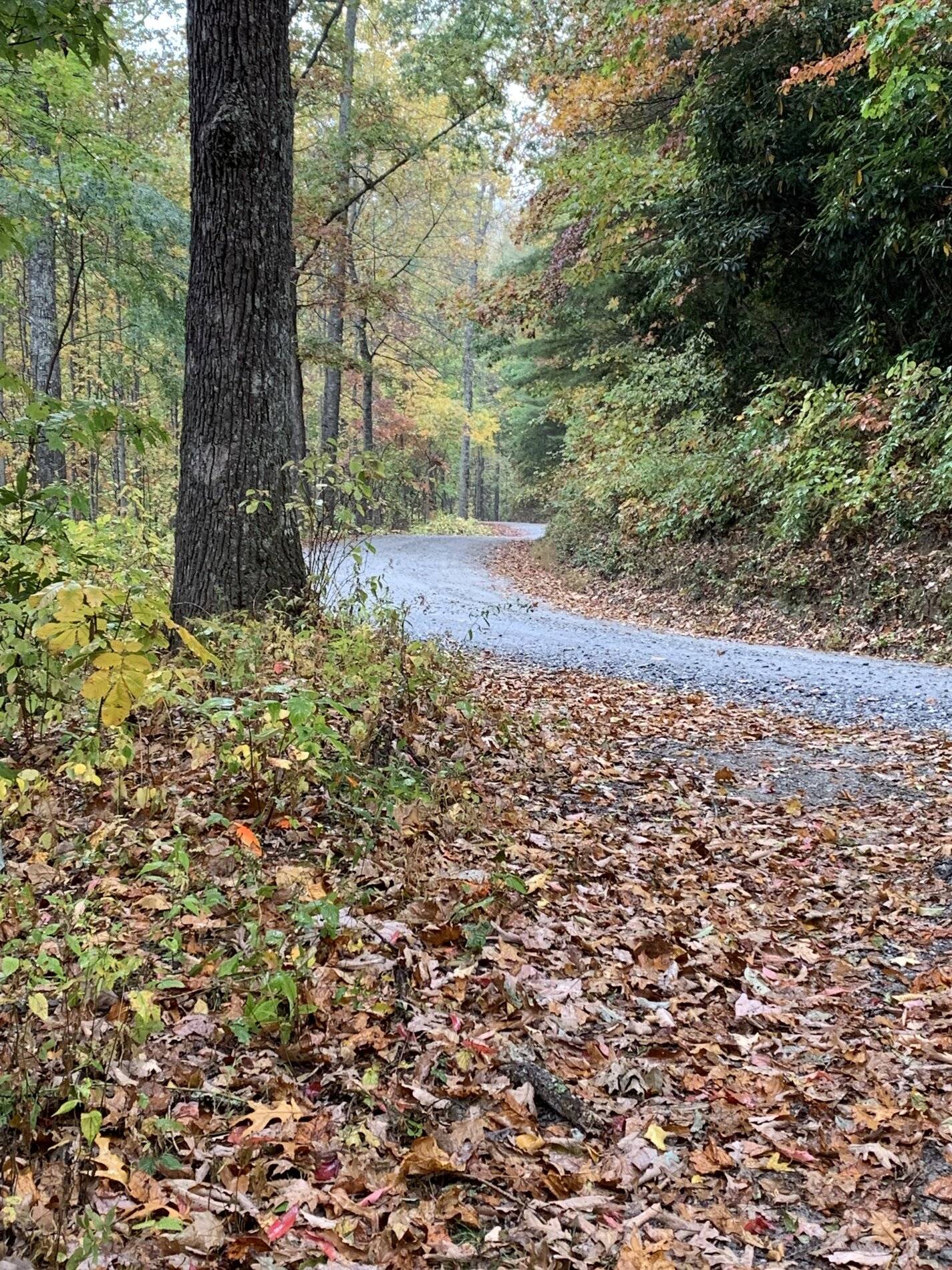 Ford Bronco Sport What did you do TO your Bronco Sport today? 0D9C848F-FF69-432C-8F7A-9814A5B2B86E