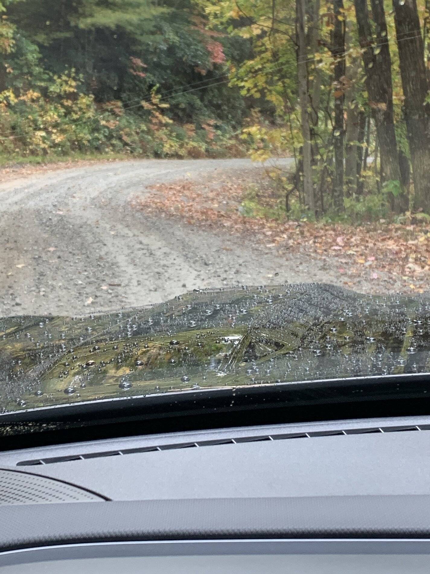 Ford Bronco Sport What did you do TO your Bronco Sport today? E266658C-FDCB-4381-A73B-669A3B086ADB