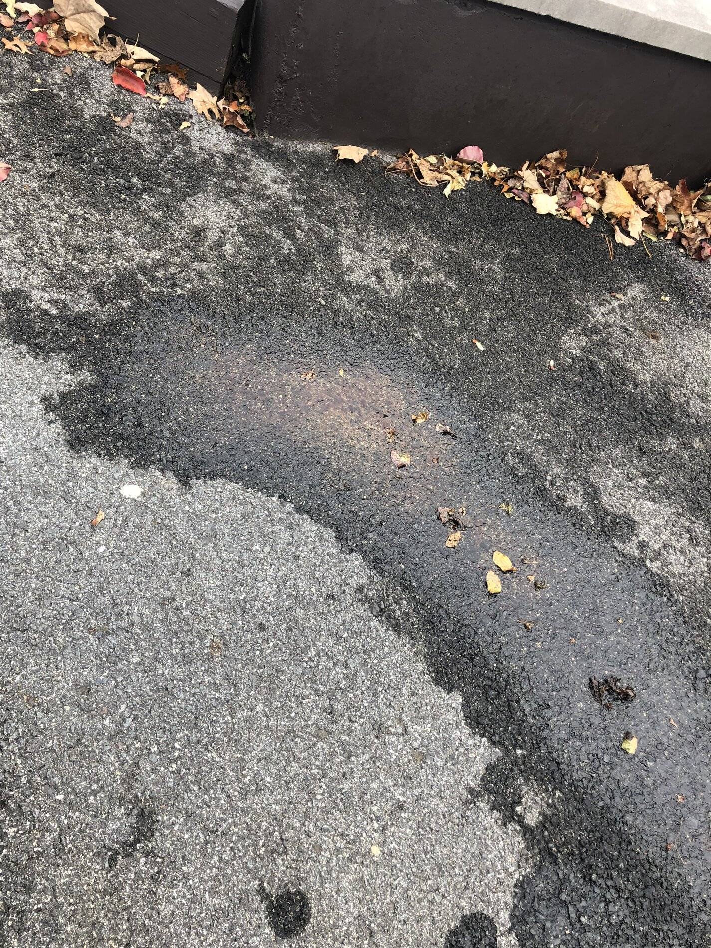 Ford Bronco Sport Oil pressure switch 0EFDA3C9-A0F6-4BF2-9108-9790814DD3EA