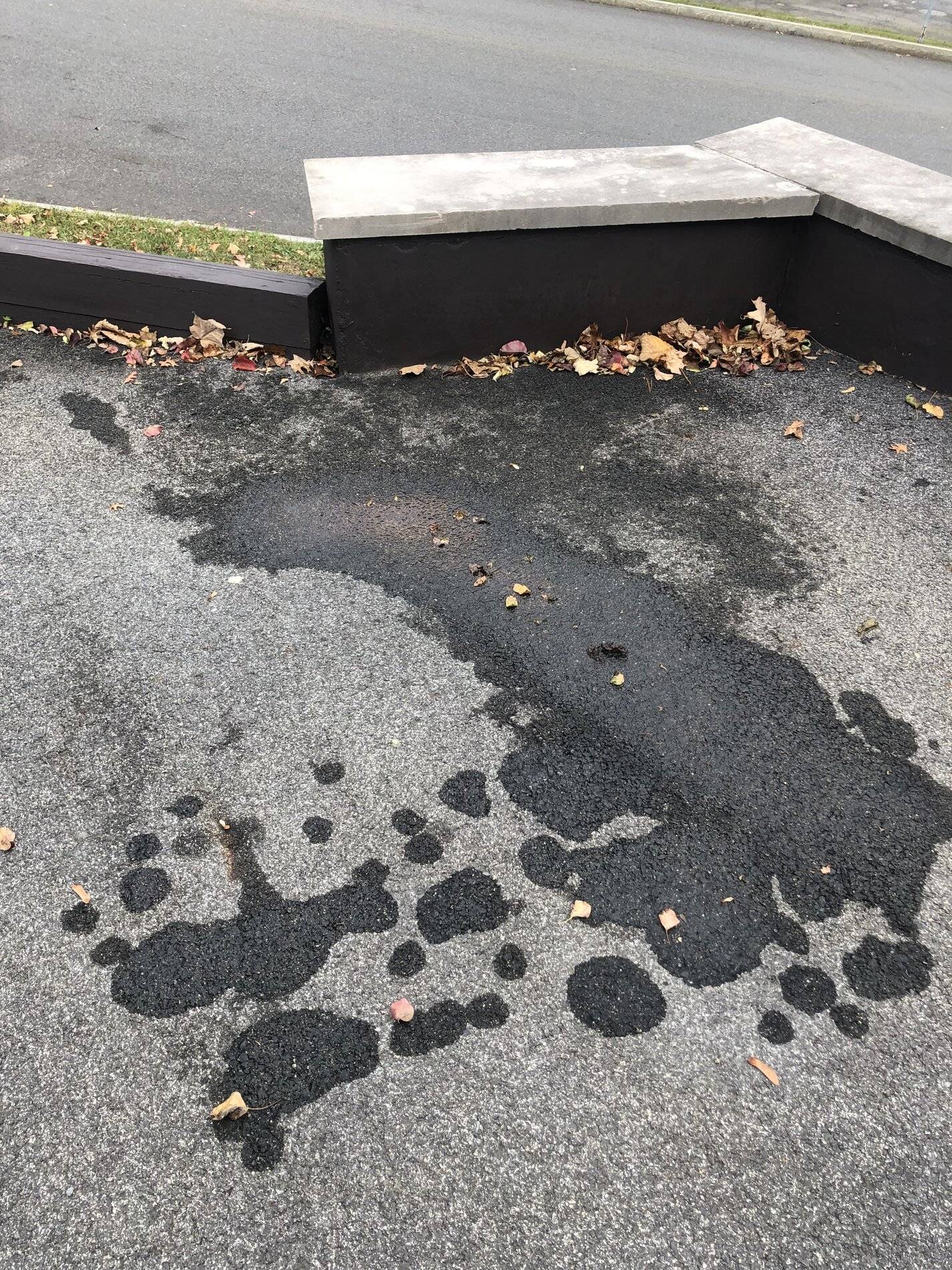 Ford Bronco Sport Oil pressure switch 5D9E0C98-C932-4D4E-9468-DE02AEFE7296