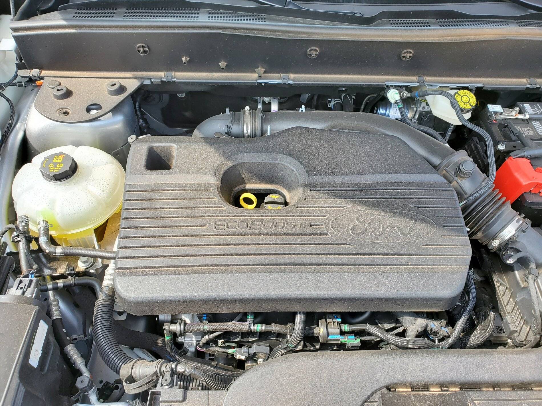 Ford Bronco Sport Official ICONIC SILVER Bronco Sport Thread 20210924_125722