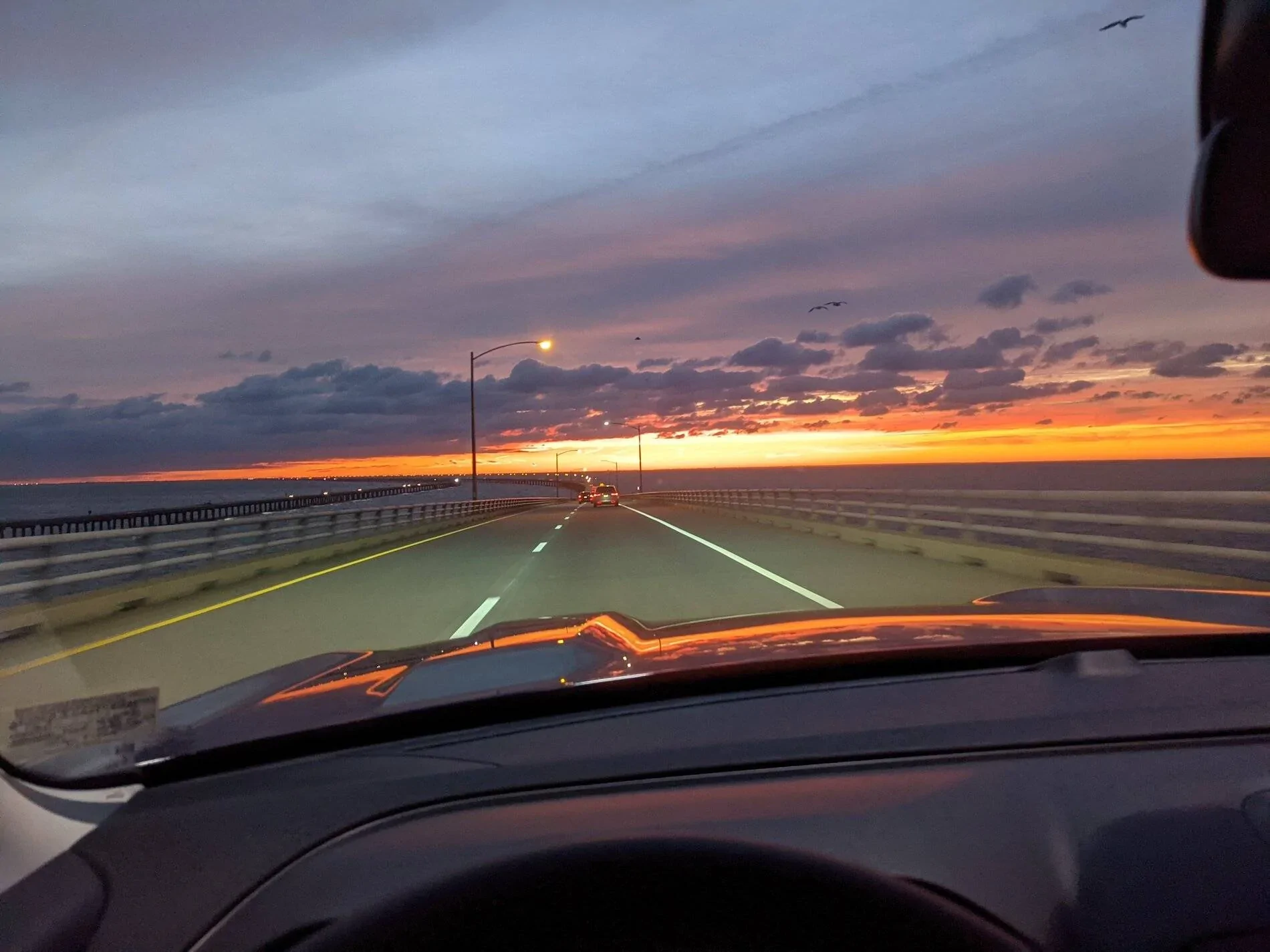 Ford Bronco Sport Post the best photos you've got of your Bronco Sport PXL_20211107_221947425