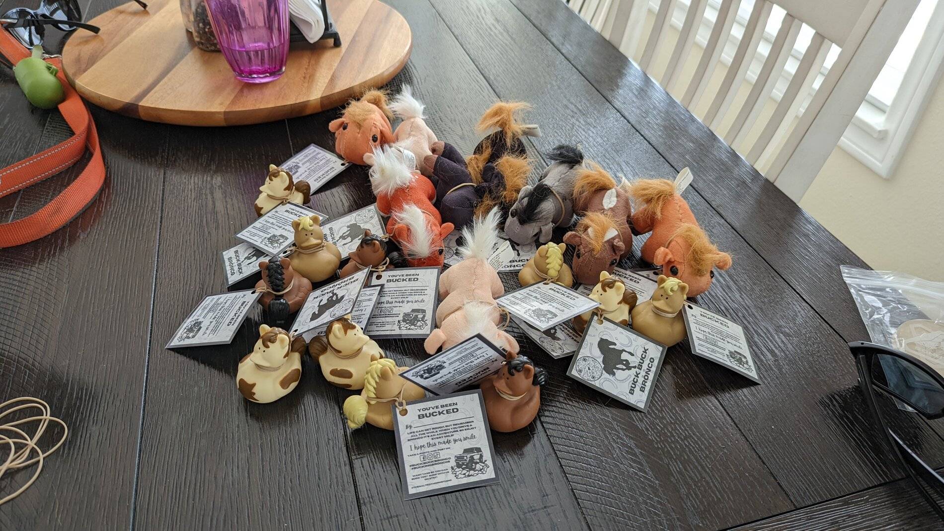 Ford Bronco Sport Buck Buck Bronco PXL_20211104_210027275