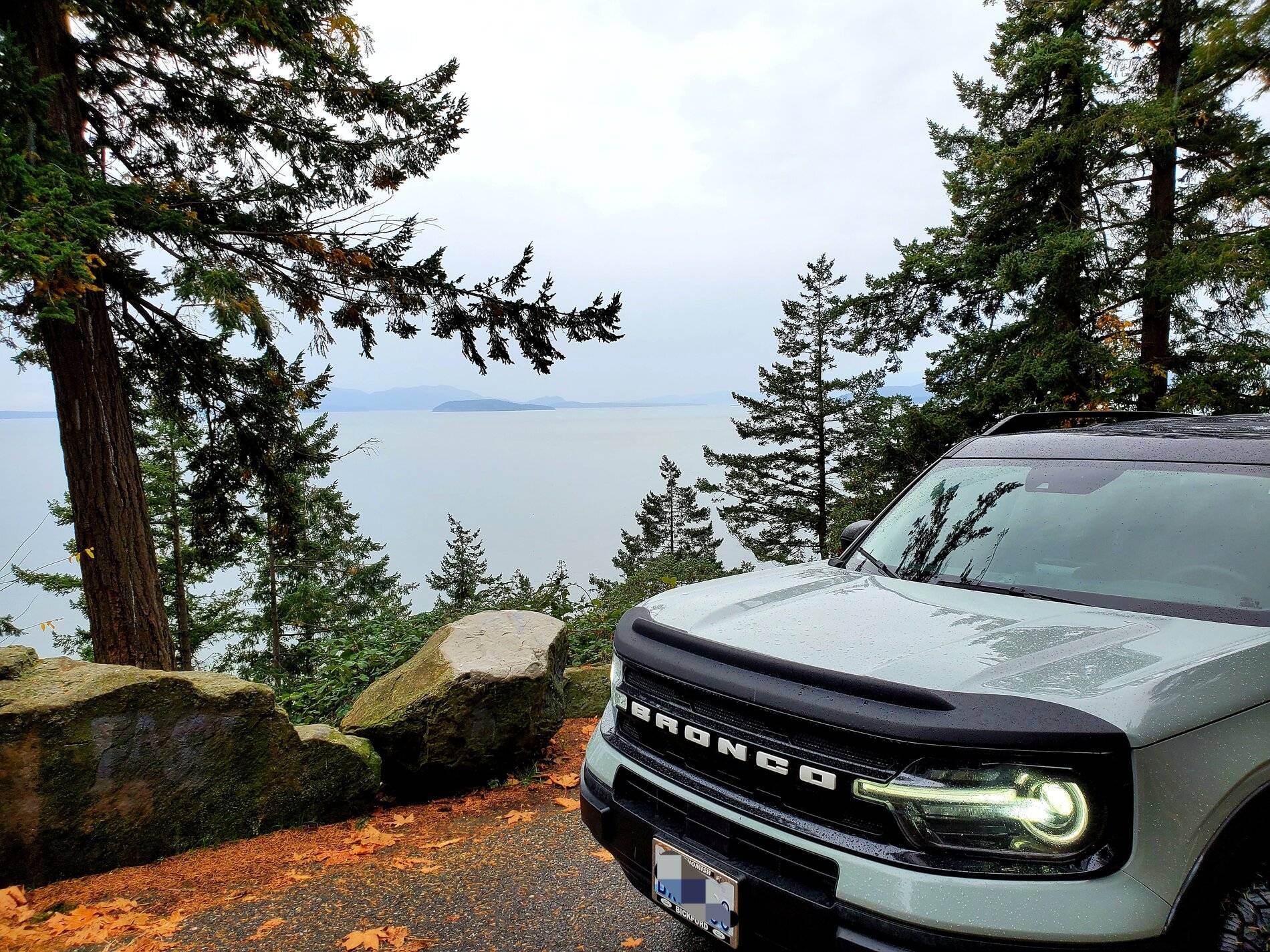 Ford Bronco Sport Tips for removing Aeroskin II Hood Deflector? 20211101_153123