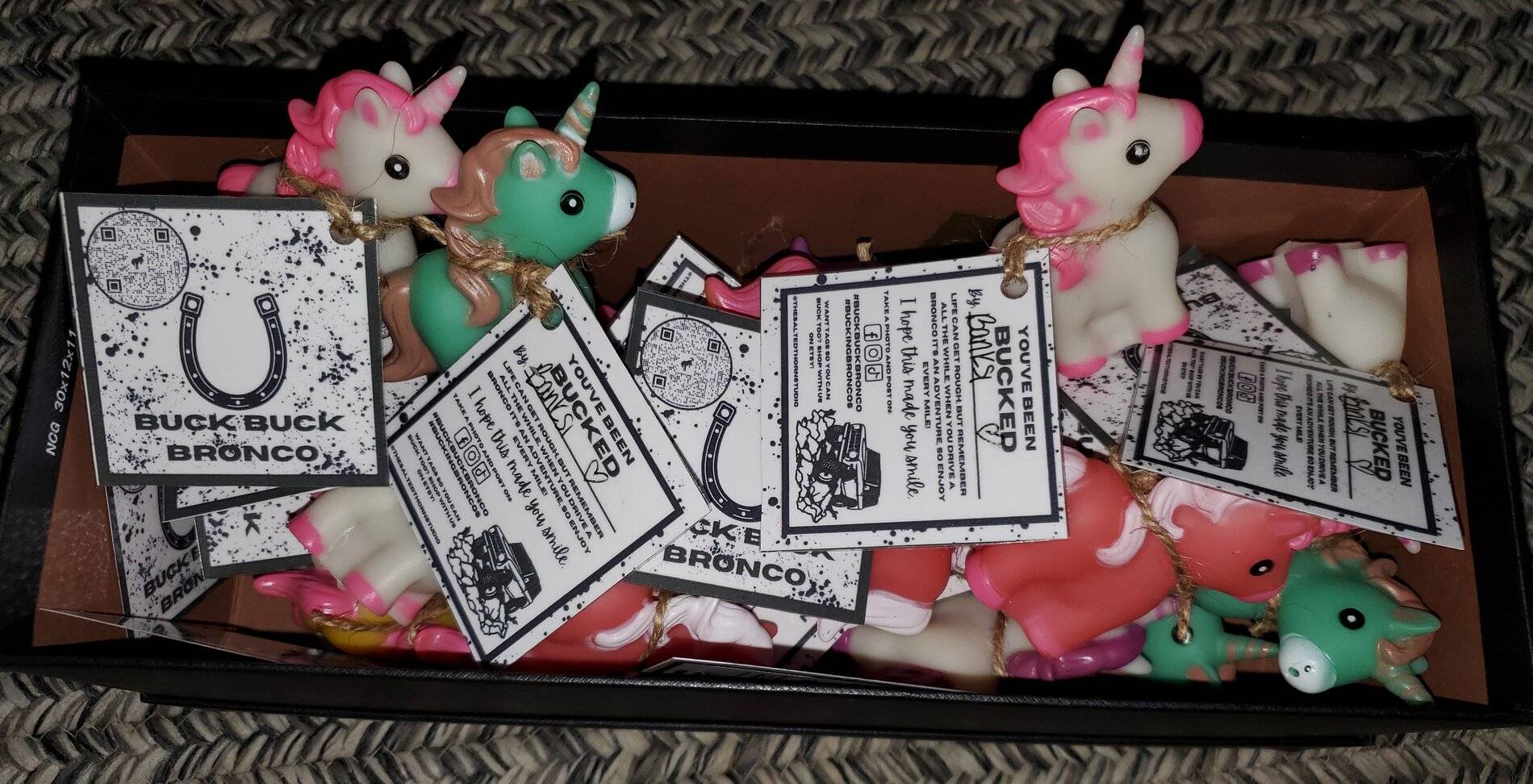 Ford Bronco Sport Buck Buck Bronco 20211124_181425