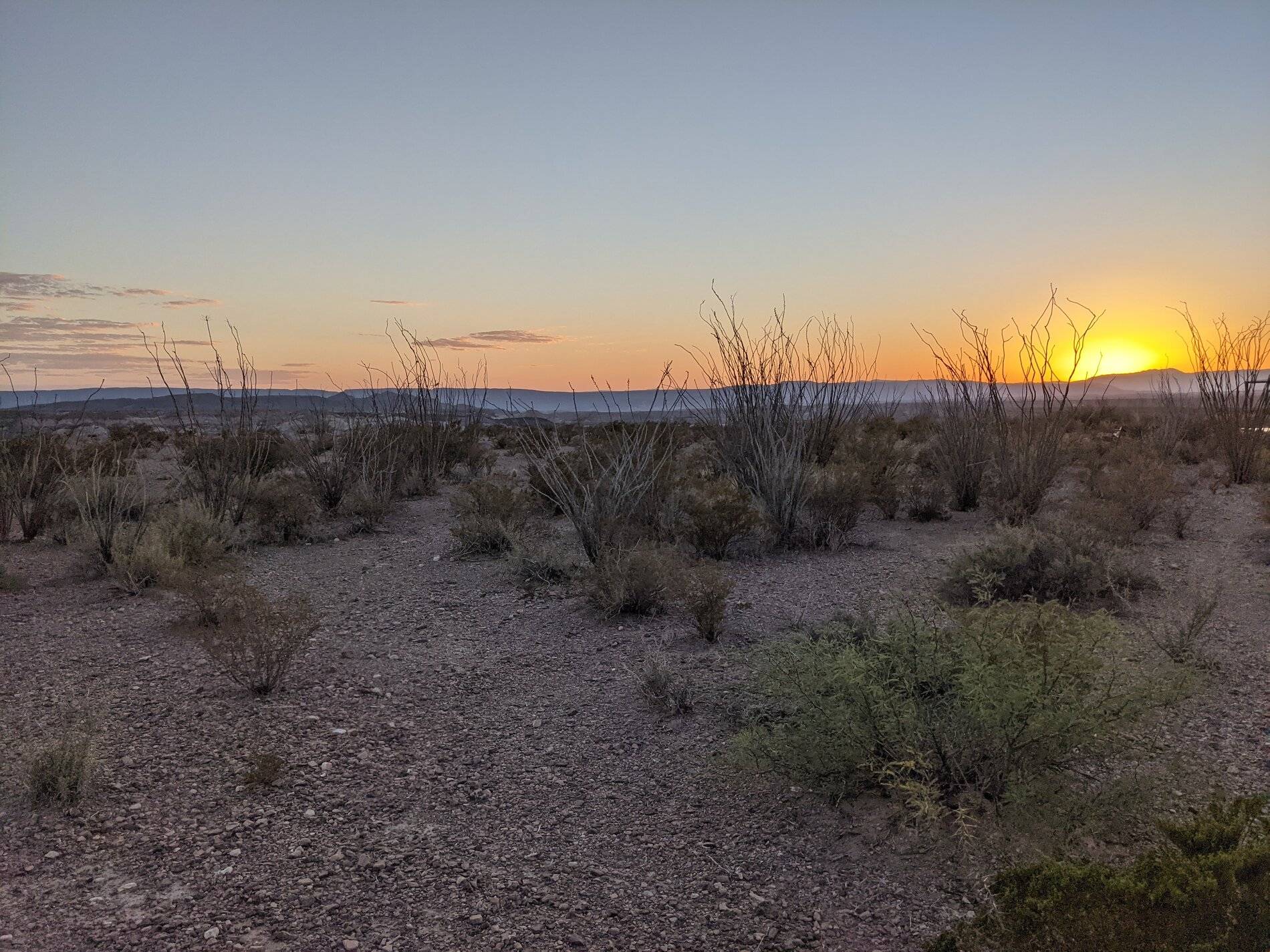 Ford Bronco Sport (Long) Trip Report: Big Bend National Park PXL_20211102_000417245