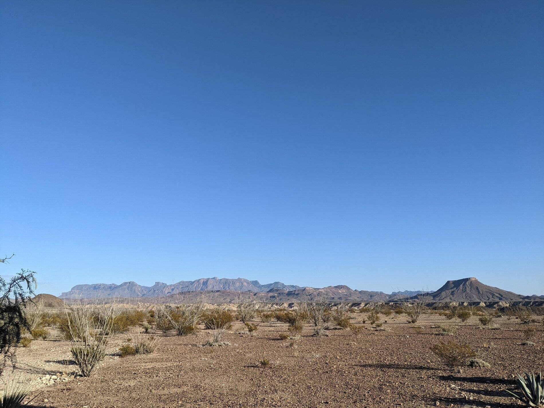 Ford Bronco Sport (Long) Trip Report: Big Bend National Park PXL_20211101_224639828