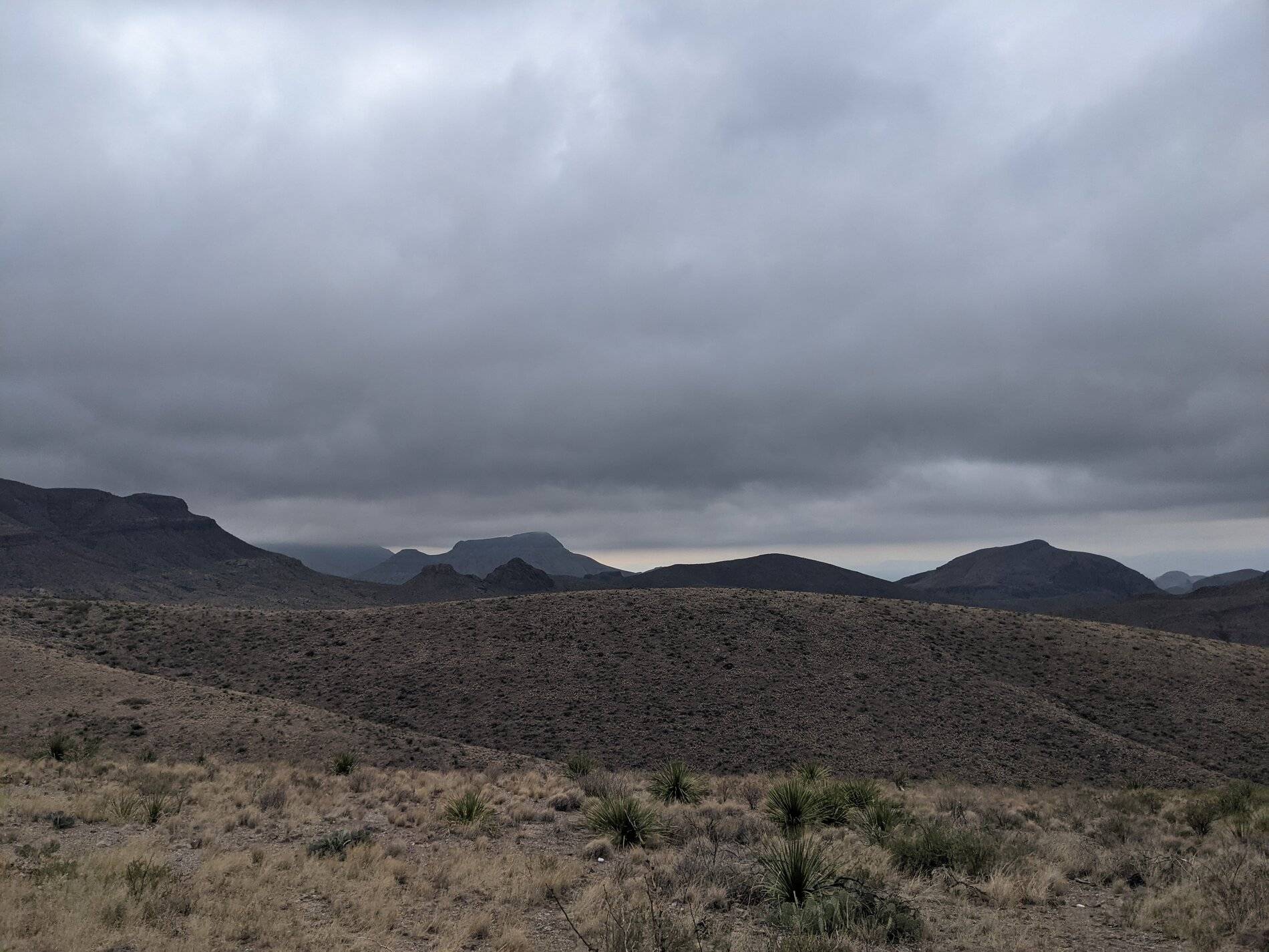 Ford Bronco Sport (Long) Trip Report: Big Bend National Park PXL_20211103_161124858