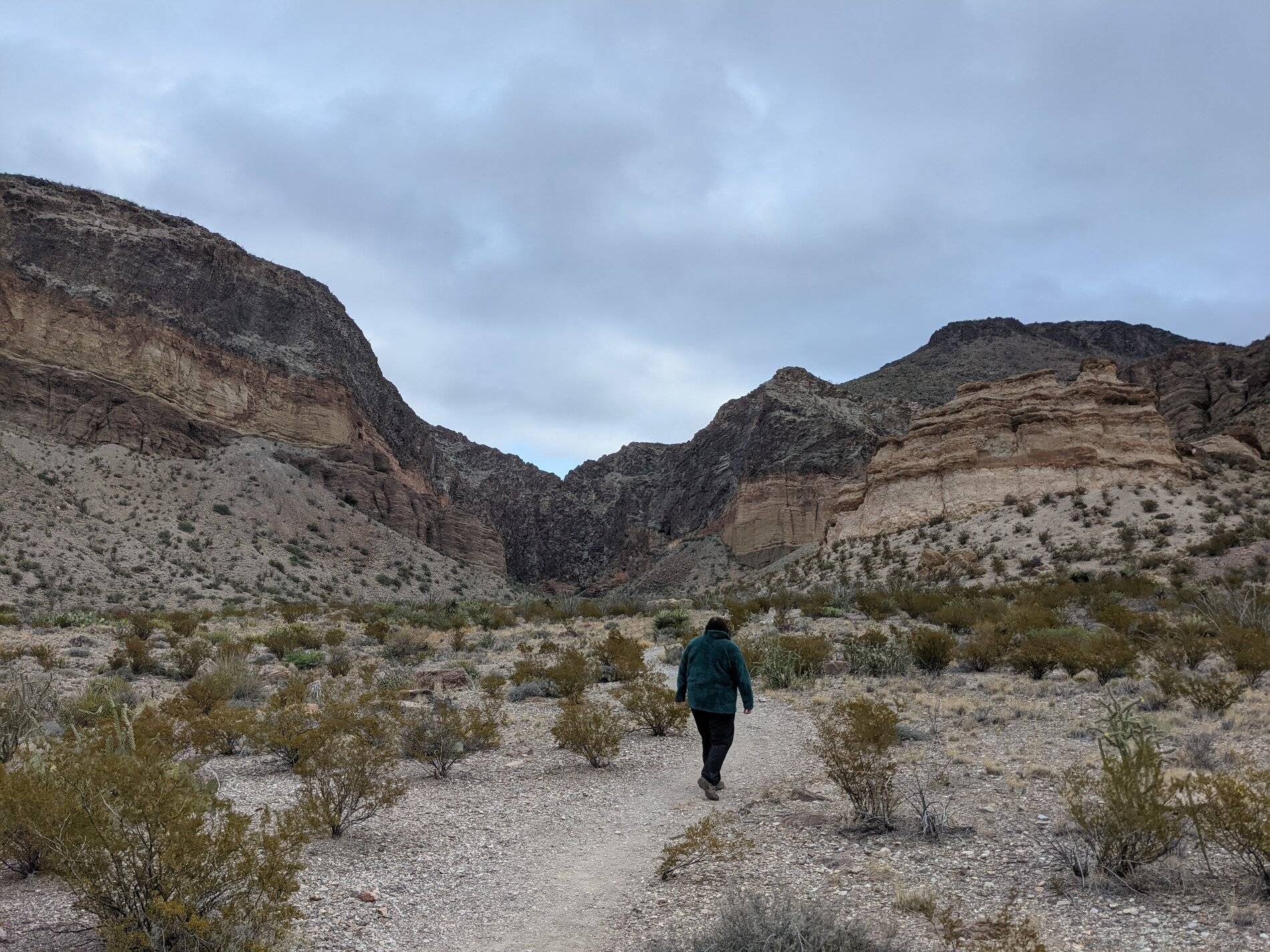 Ford Bronco Sport (Long) Trip Report: Big Bend National Park PXL_20211103_163359247