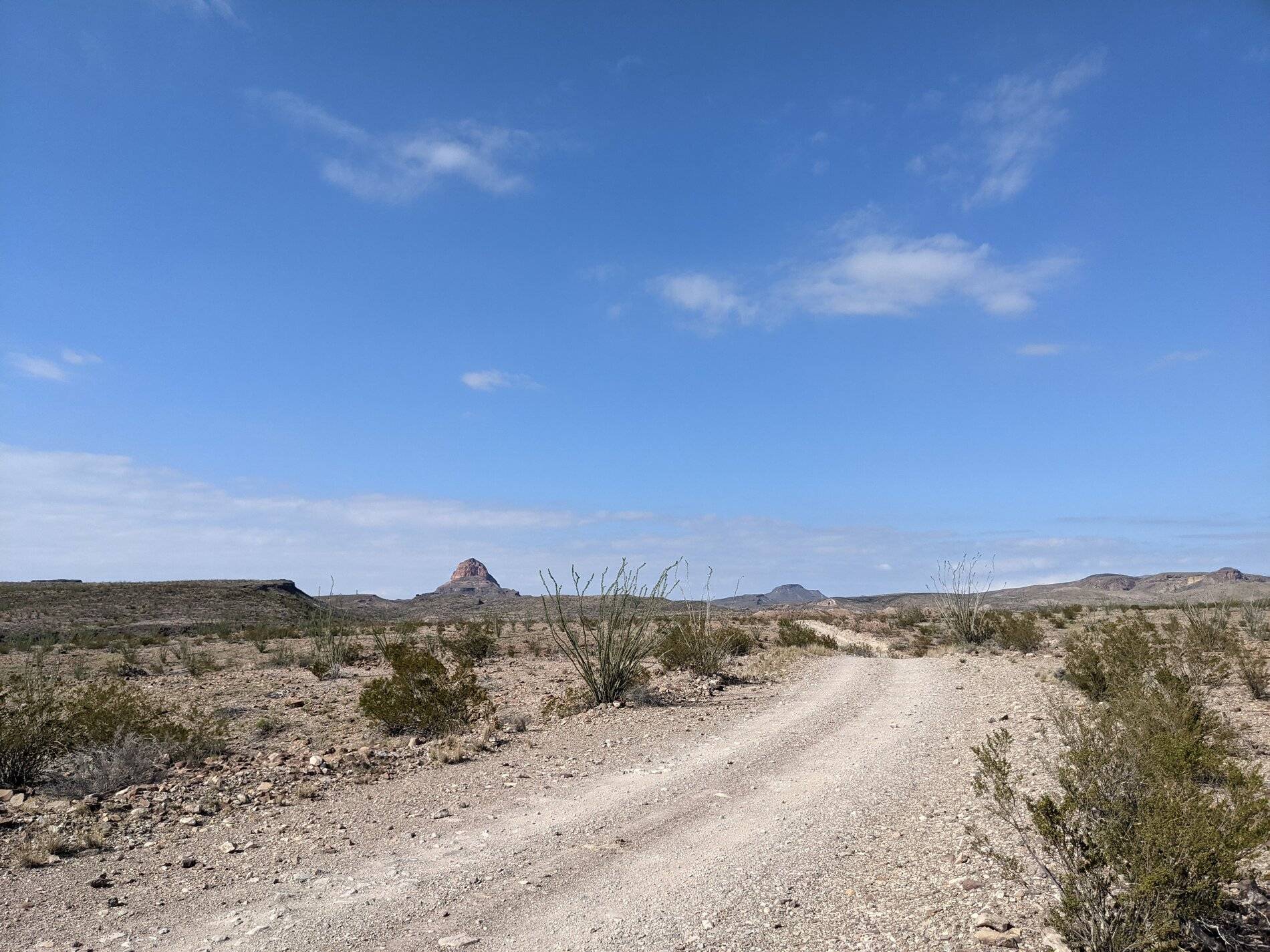 Ford Bronco Sport (Long) Trip Report: Big Bend National Park PXL_20211103_203751914
