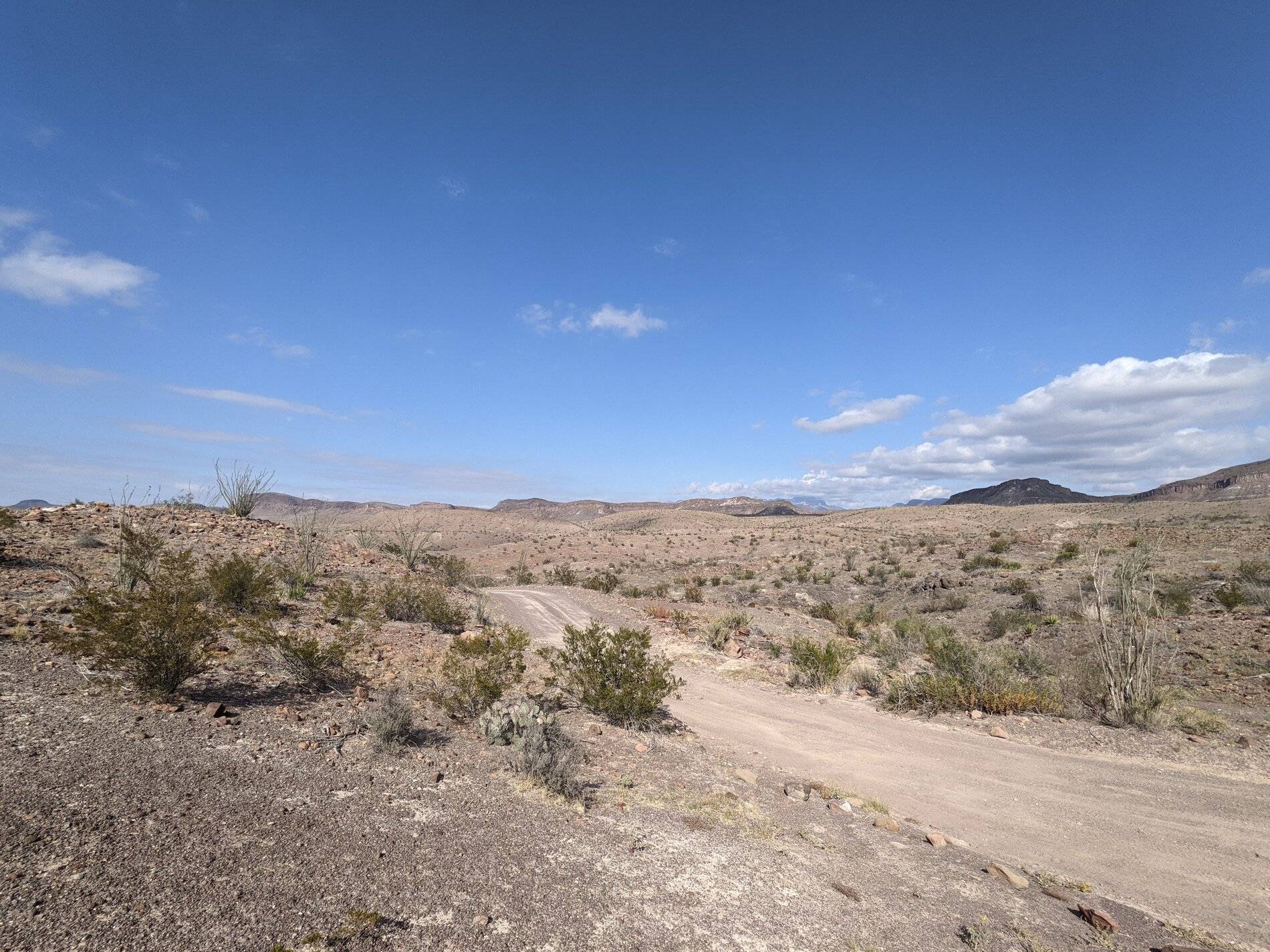 Ford Bronco Sport (Long) Trip Report: Big Bend National Park PXL_20211103_205013534