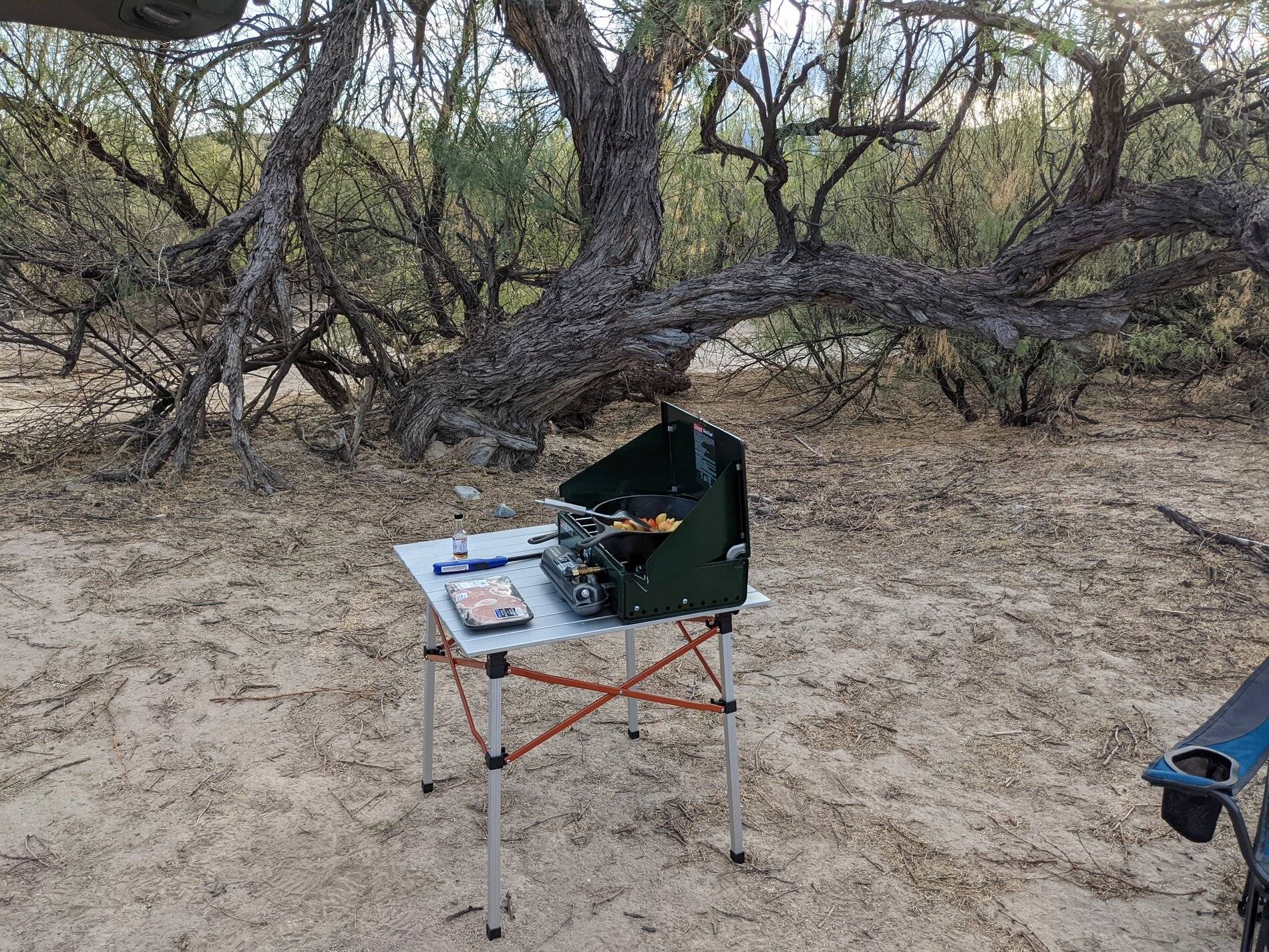 Ford Bronco Sport (Long) Trip Report: Big Bend National Park PXL_20211103_225933377