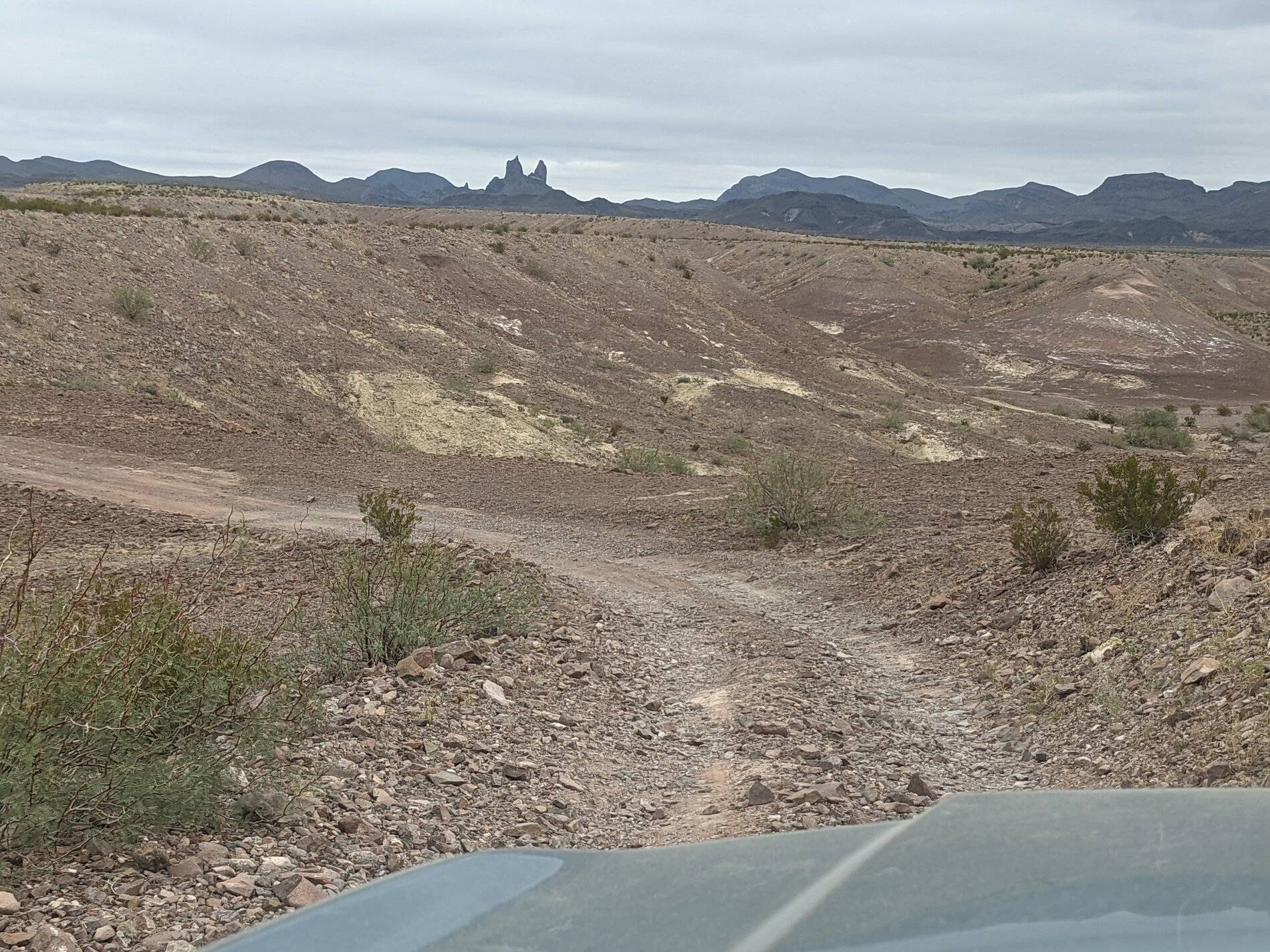 Ford Bronco Sport (Long) Trip Report: Big Bend National Park PXL_20211104_155405590