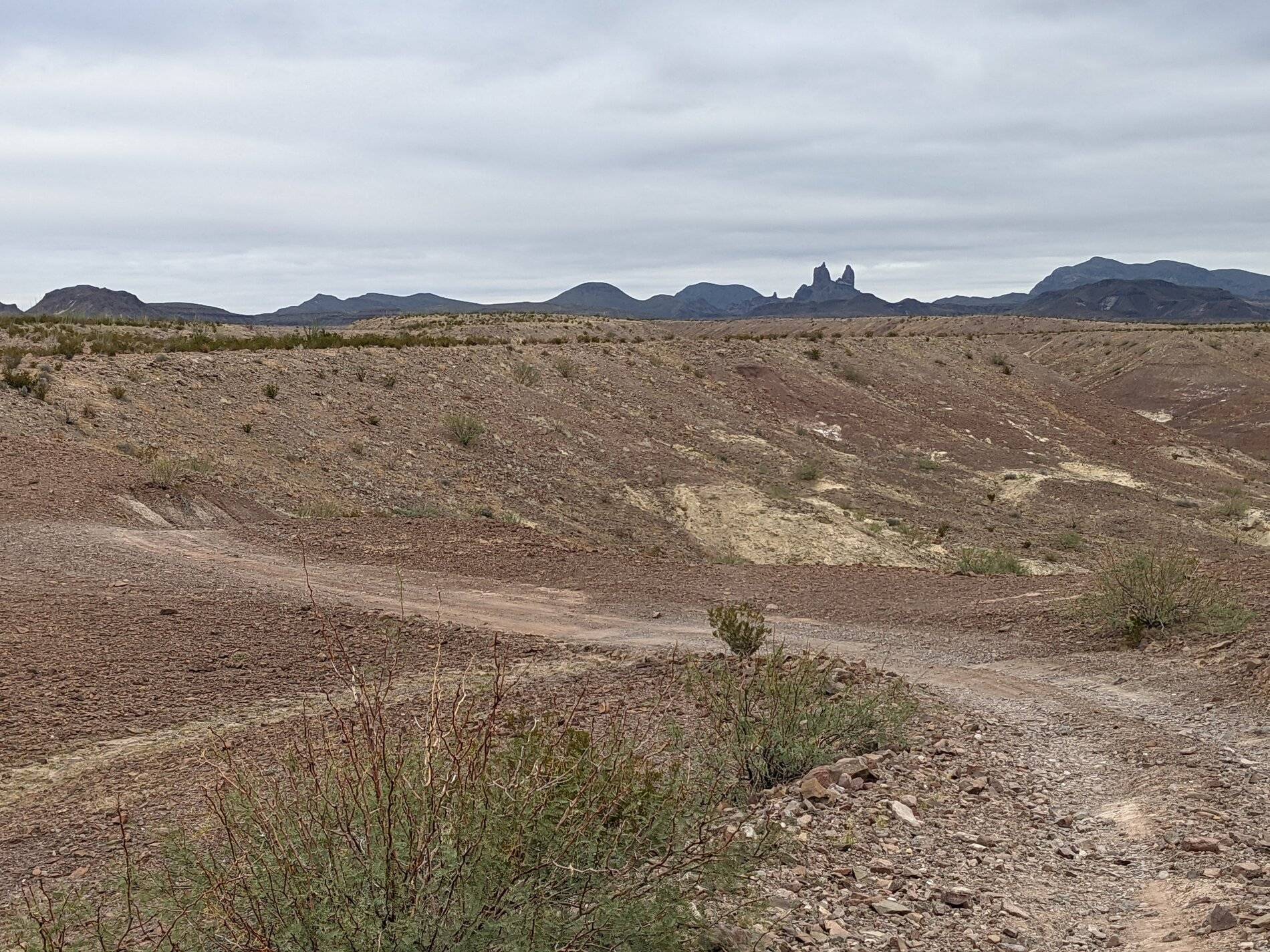 Ford Bronco Sport (Long) Trip Report: Big Bend National Park PXL_20211104_155409824