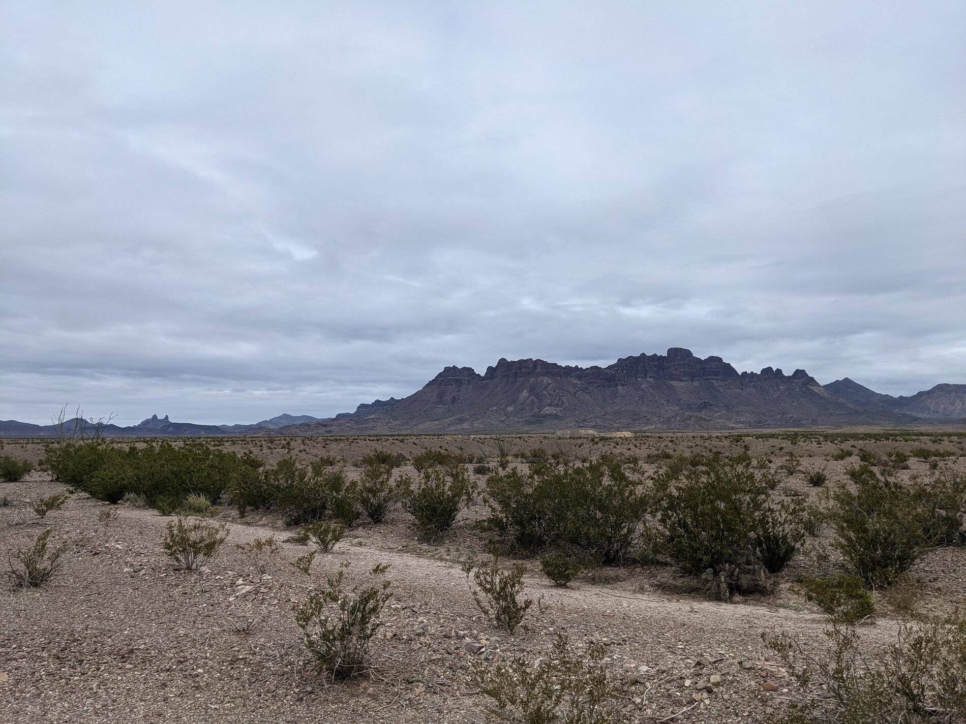 Ford Bronco Sport (Long) Trip Report: Big Bend National Park PXL_20211104_162732129