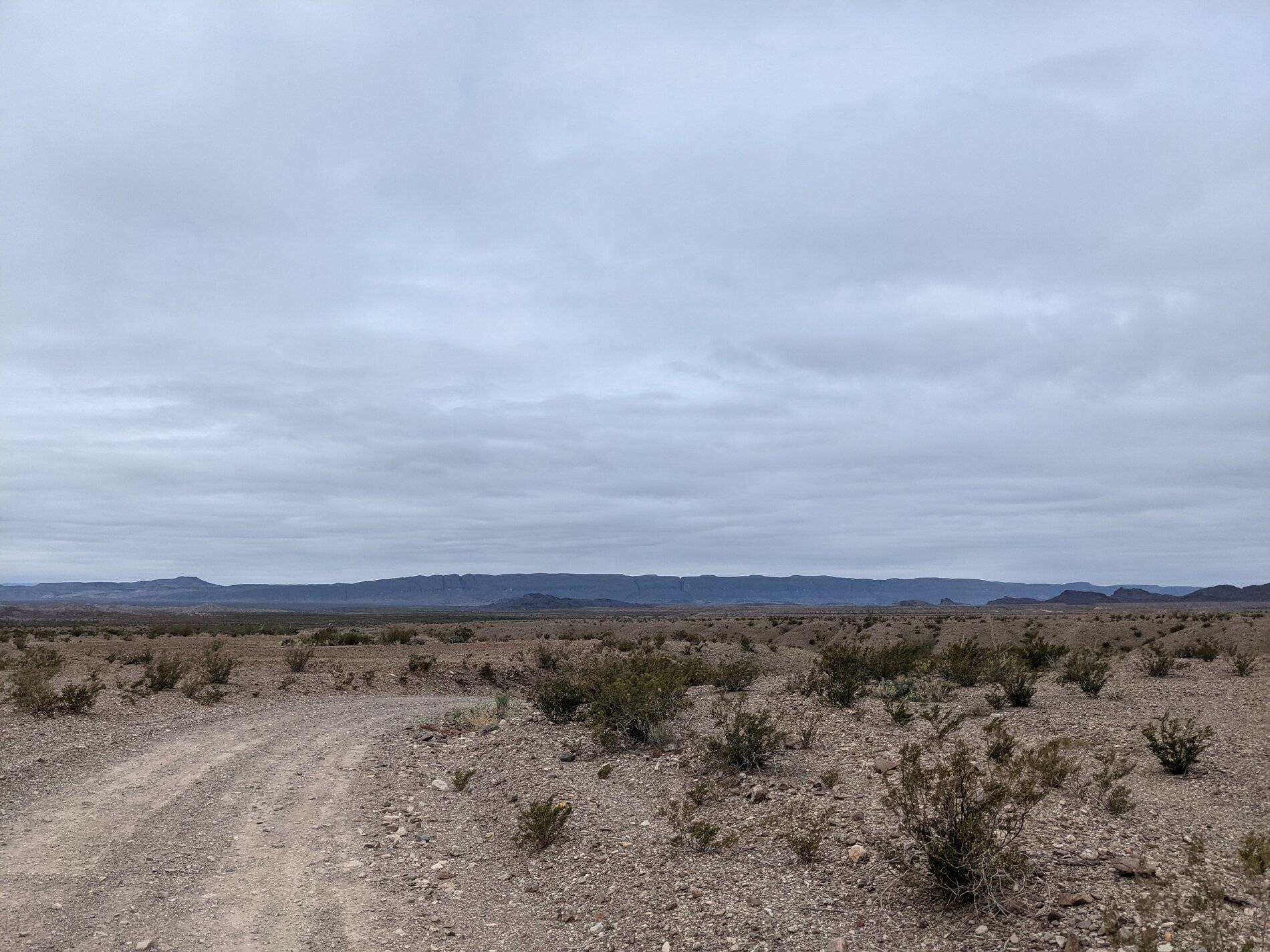 Ford Bronco Sport (Long) Trip Report: Big Bend National Park PXL_20211104_162734719