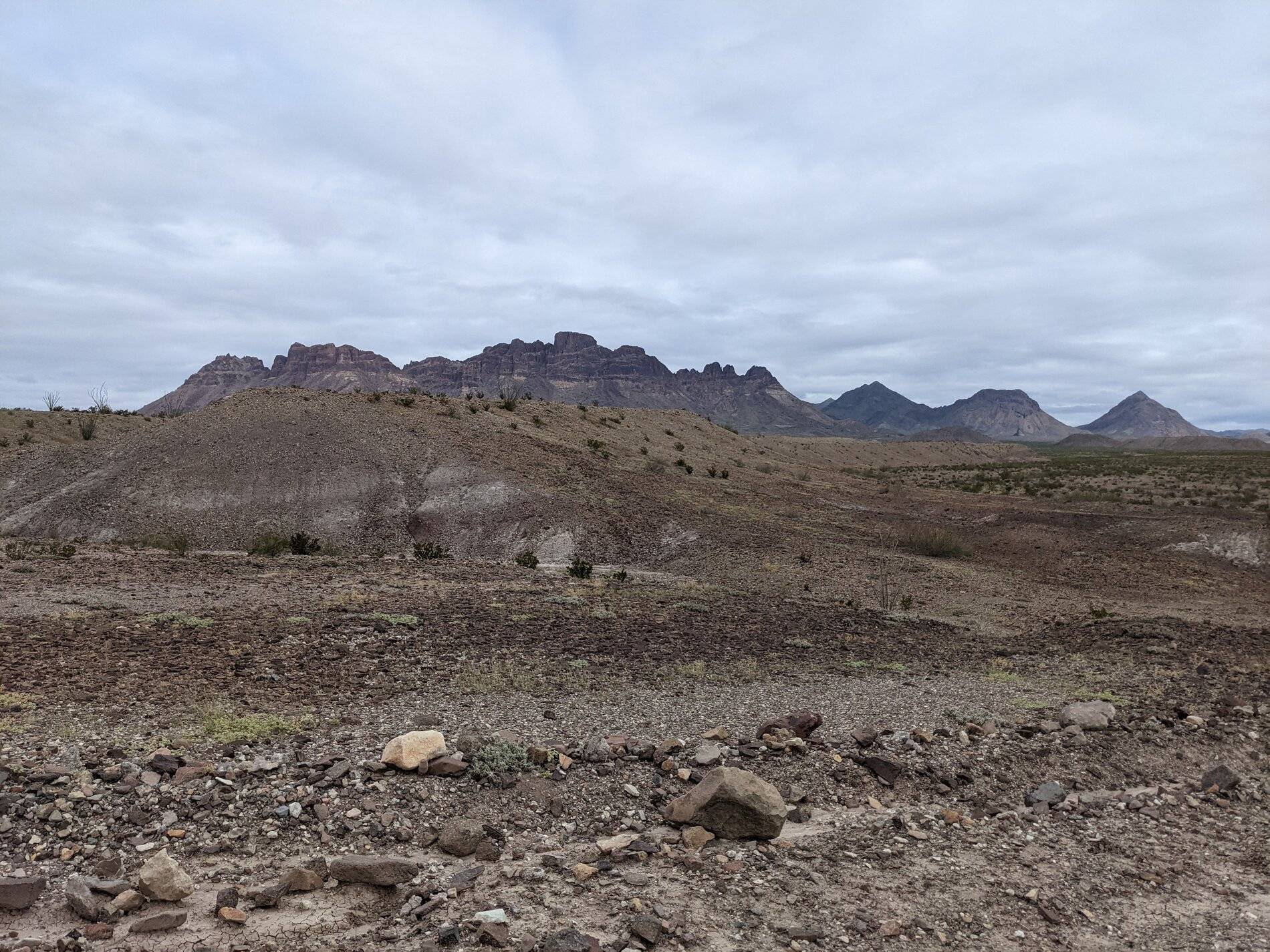 Ford Bronco Sport (Long) Trip Report: Big Bend National Park PXL_20211104_164159744