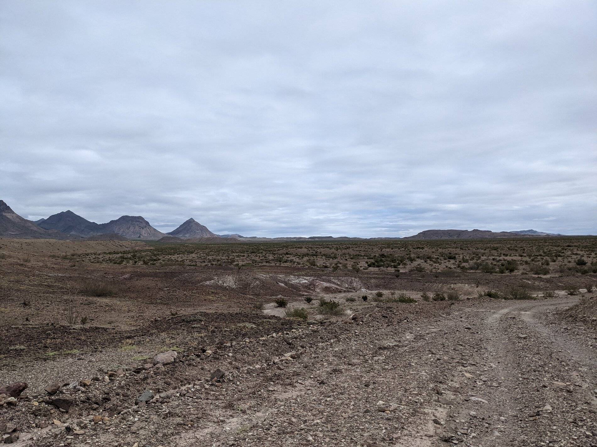 Ford Bronco Sport (Long) Trip Report: Big Bend National Park PXL_20211104_164203536
