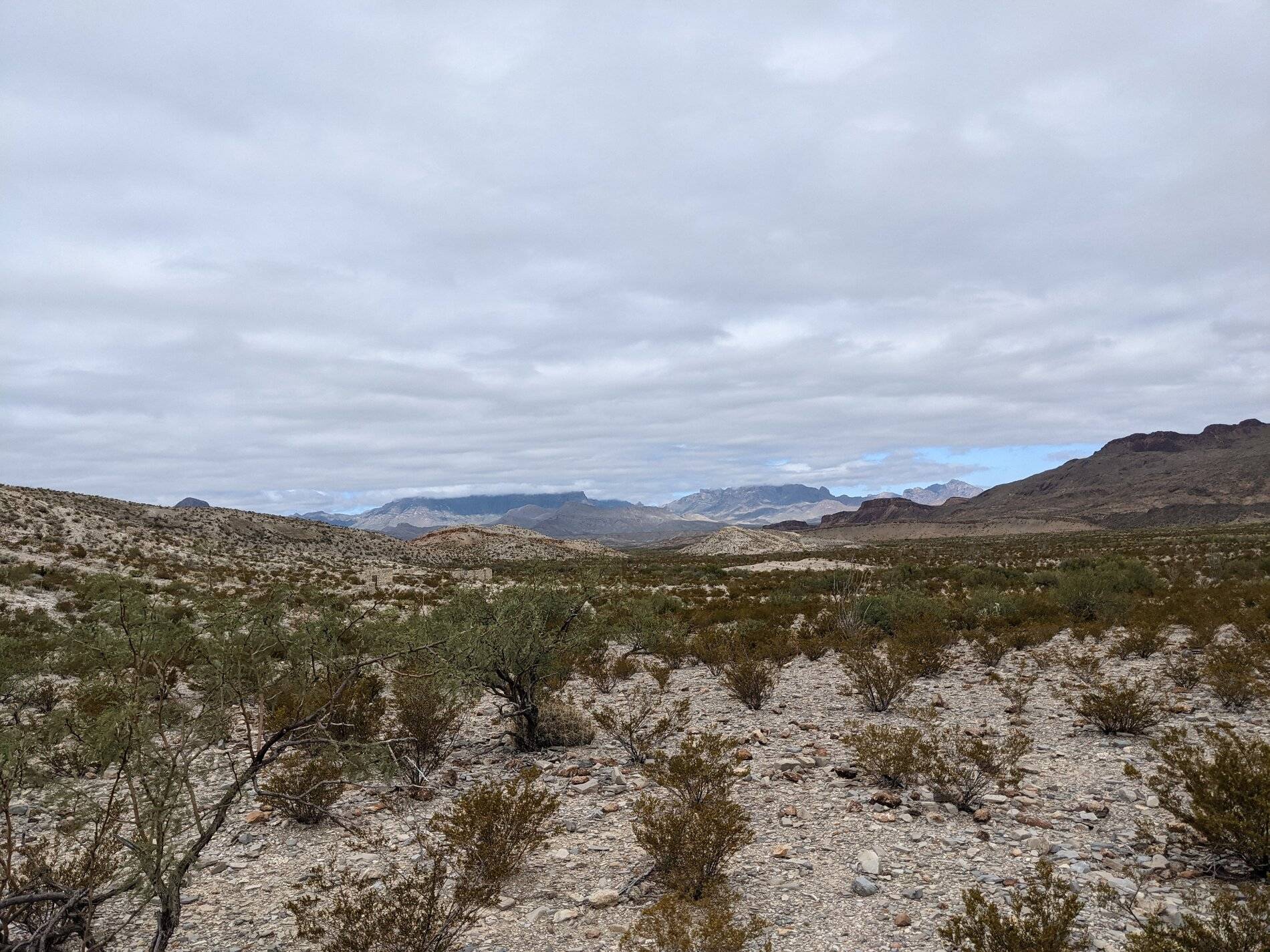 Ford Bronco Sport (Long) Trip Report: Big Bend National Park PXL_20211104_180344359