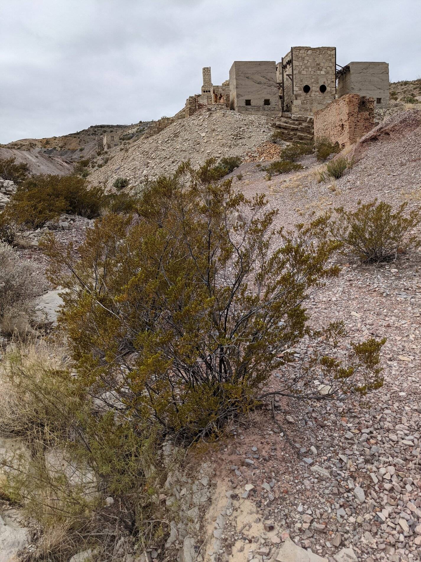 Ford Bronco Sport (Long) Trip Report: Big Bend National Park PXL_20211104_181757363