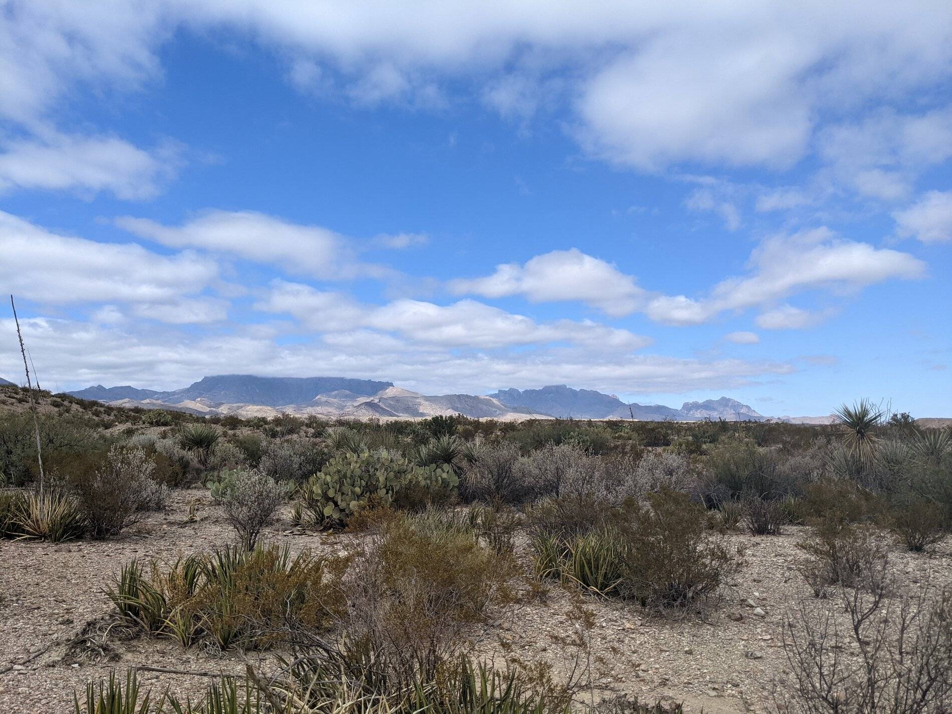 Ford Bronco Sport (Long) Trip Report: Big Bend National Park PXL_20211104_191411414