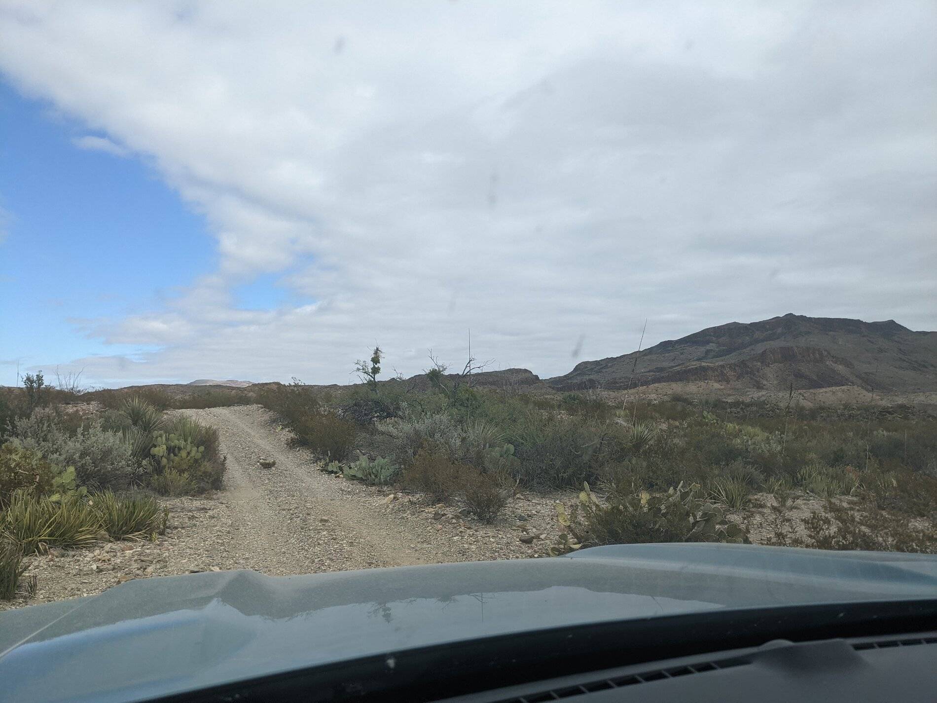 Ford Bronco Sport (Long) Trip Report: Big Bend National Park PXL_20211104_191414284