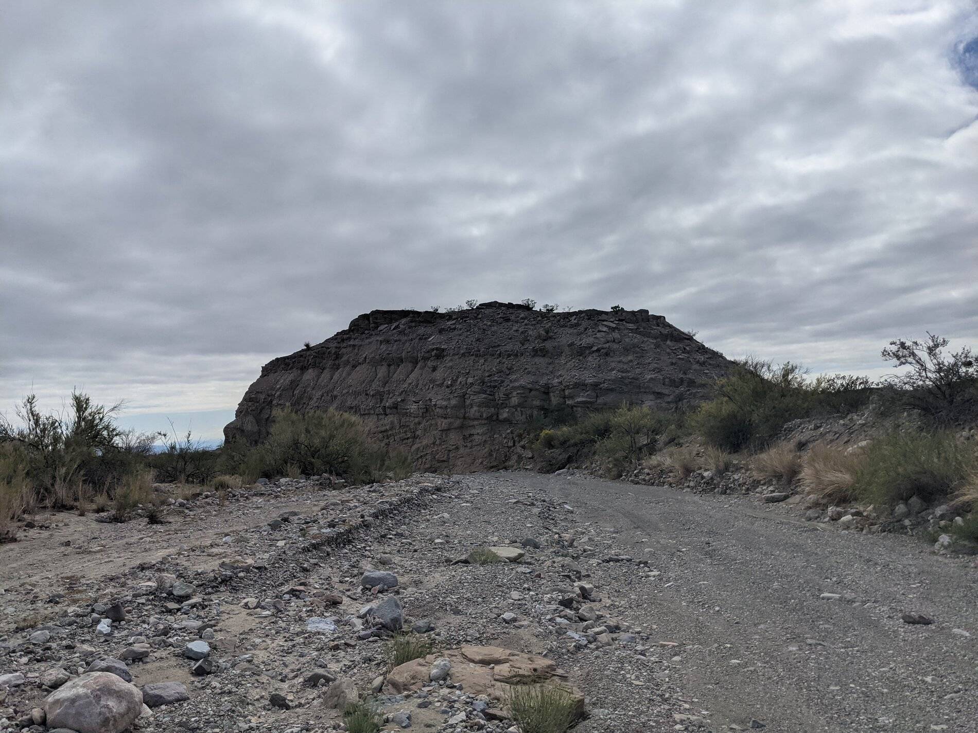 Ford Bronco Sport (Long) Trip Report: Big Bend National Park PXL_20211104_192437343