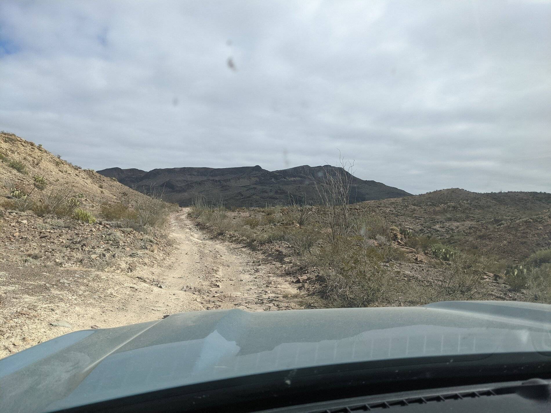 Ford Bronco Sport (Long) Trip Report: Big Bend National Park PXL_20211104_193107040