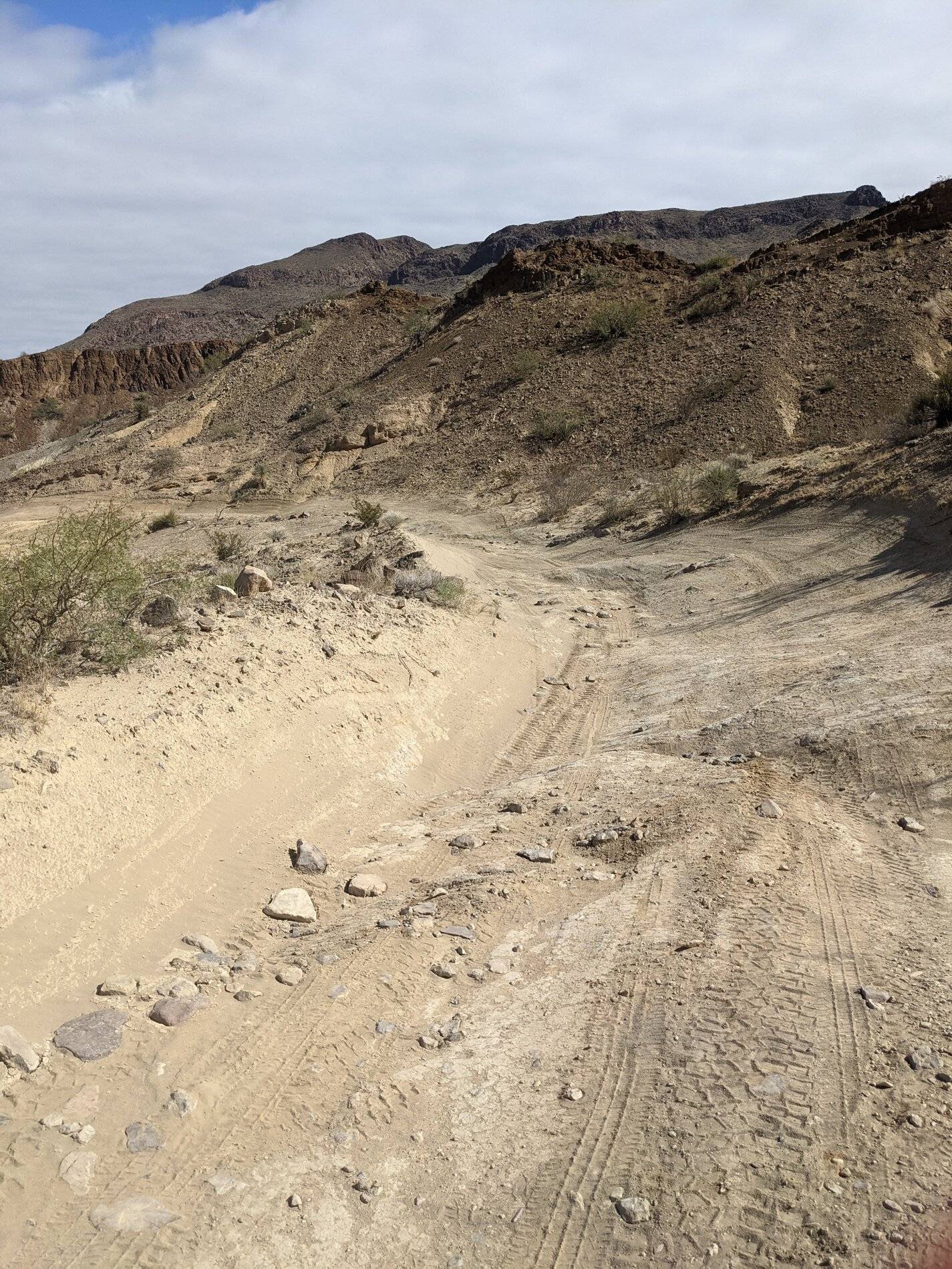 Ford Bronco Sport (Long) Trip Report: Big Bend National Park PXL_20211104_194140802