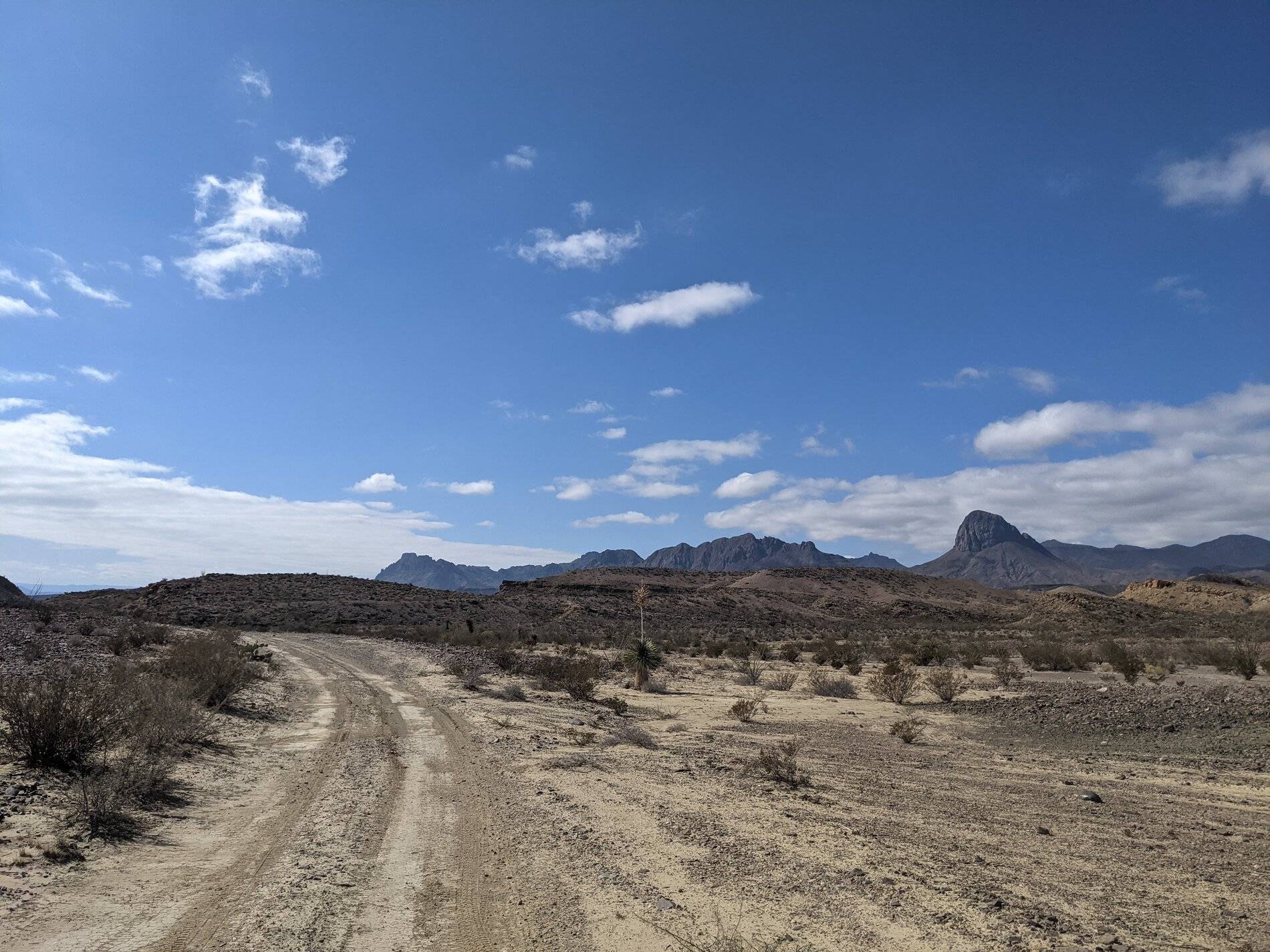Ford Bronco Sport (Long) Trip Report: Big Bend National Park PXL_20211104_194322220