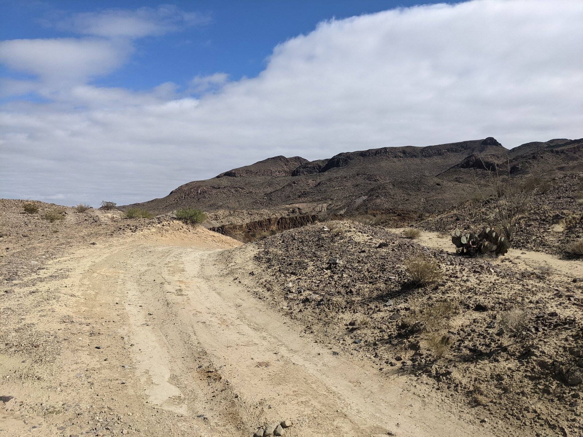 Ford Bronco Sport (Long) Trip Report: Big Bend National Park PXL_20211104_194325197