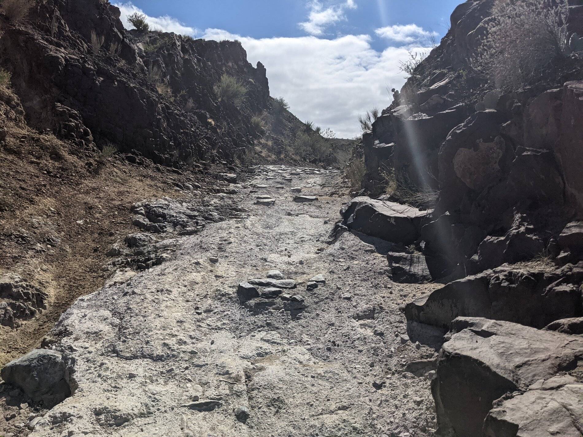 Ford Bronco Sport (Long) Trip Report: Big Bend National Park PXL_20211104_194928673