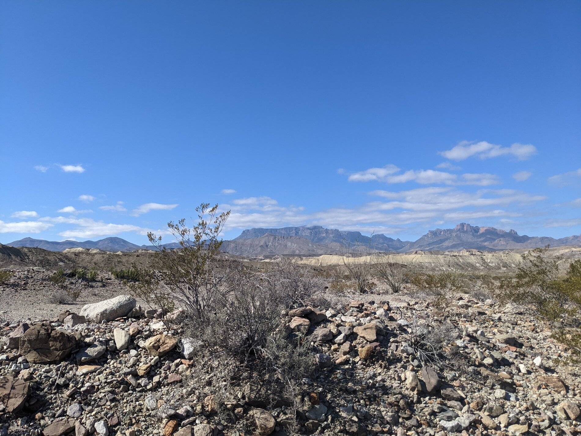 Ford Bronco Sport (Long) Trip Report: Big Bend National Park PXL_20211104_201250466