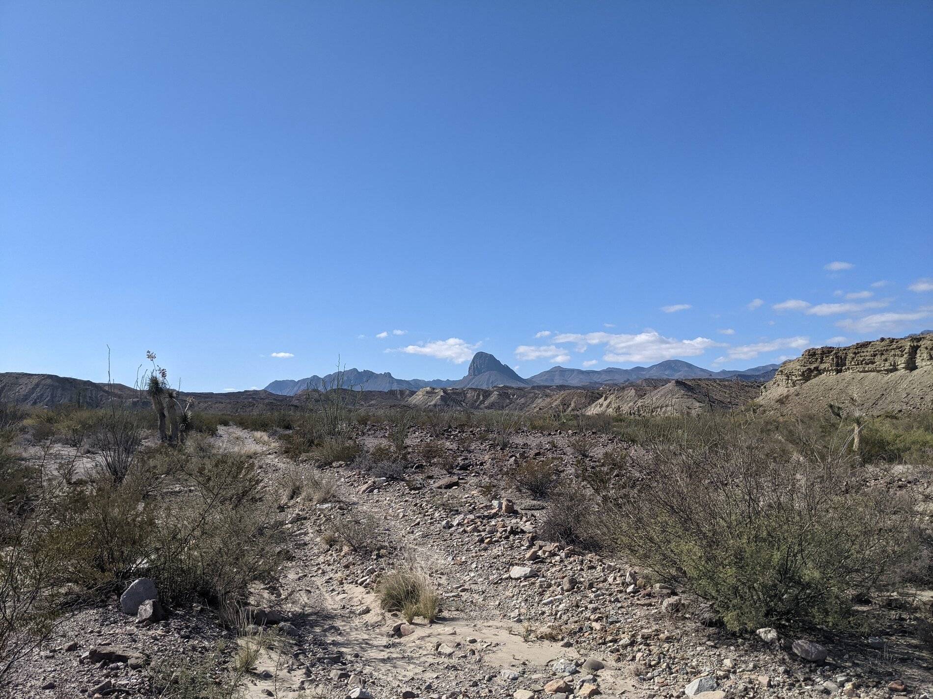 Ford Bronco Sport (Long) Trip Report: Big Bend National Park PXL_20211104_201730705