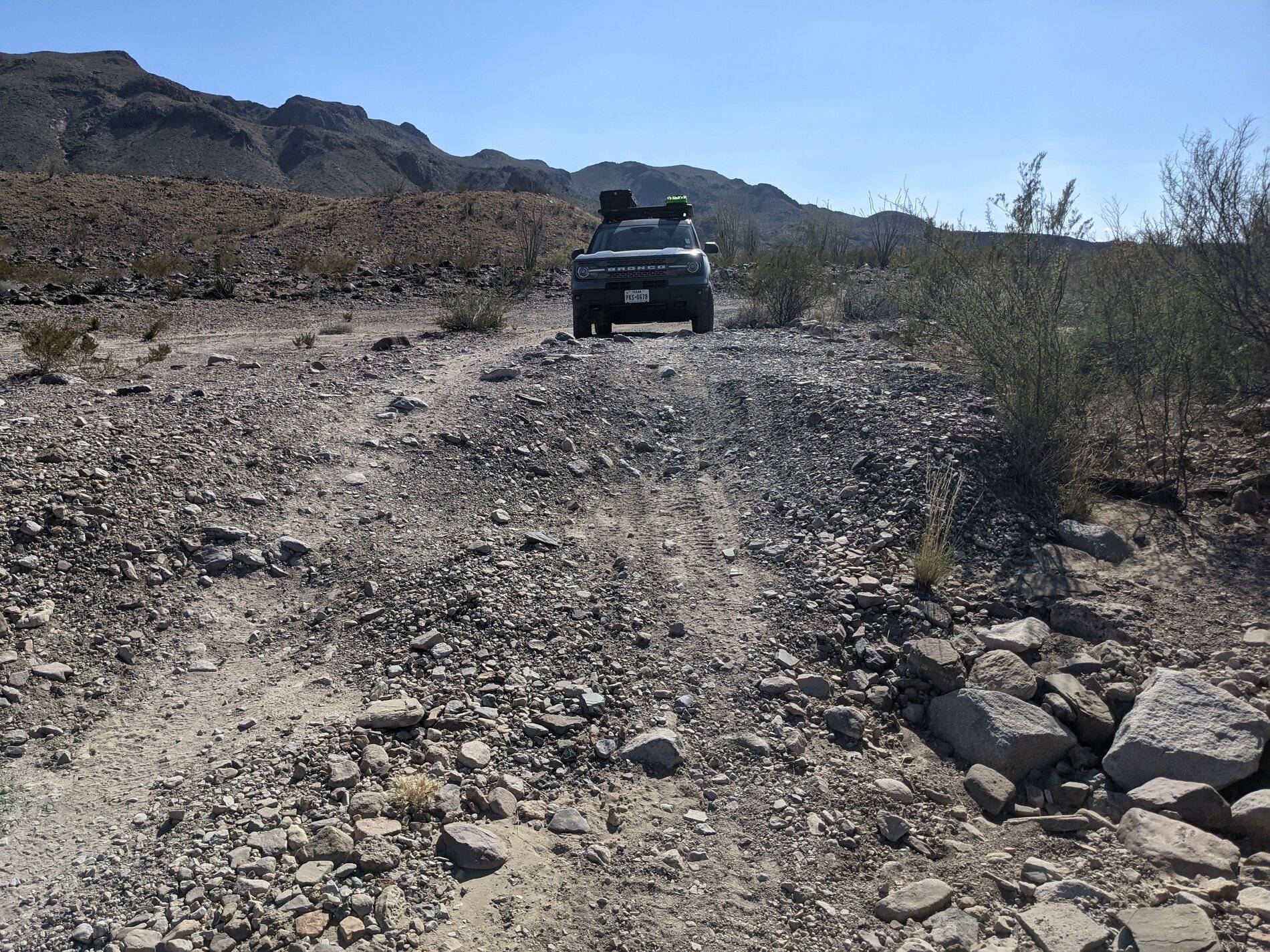 Ford Bronco Sport (Long) Trip Report: Big Bend National Park PXL_20211104_201754639
