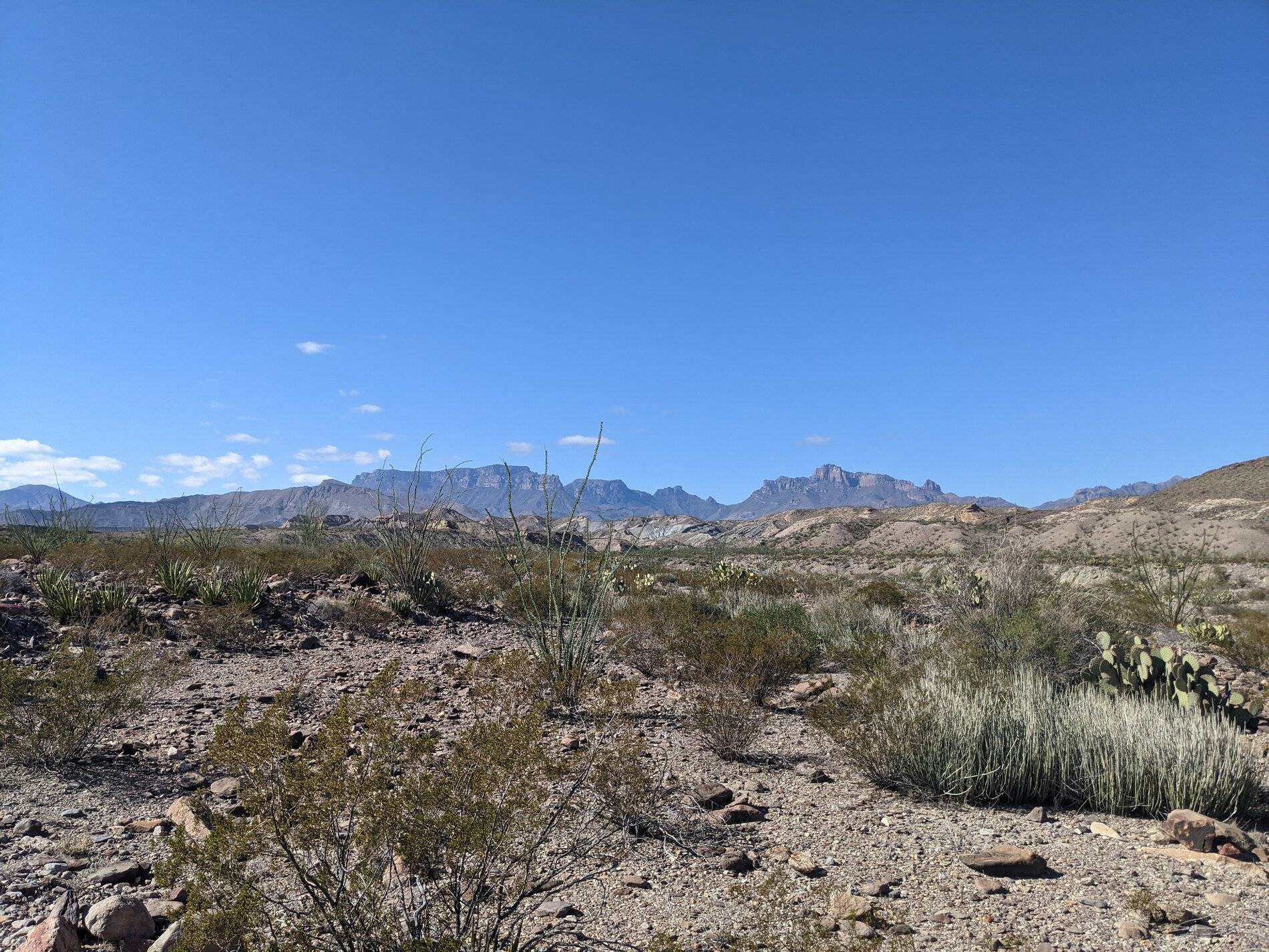 Ford Bronco Sport (Long) Trip Report: Big Bend National Park PXL_20211104_203450810