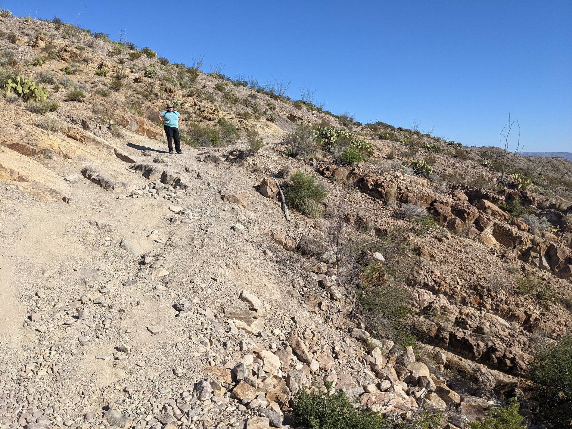 Ford Bronco Sport (Long) Trip Report: Big Bend National Park PXL_20211104_211355848