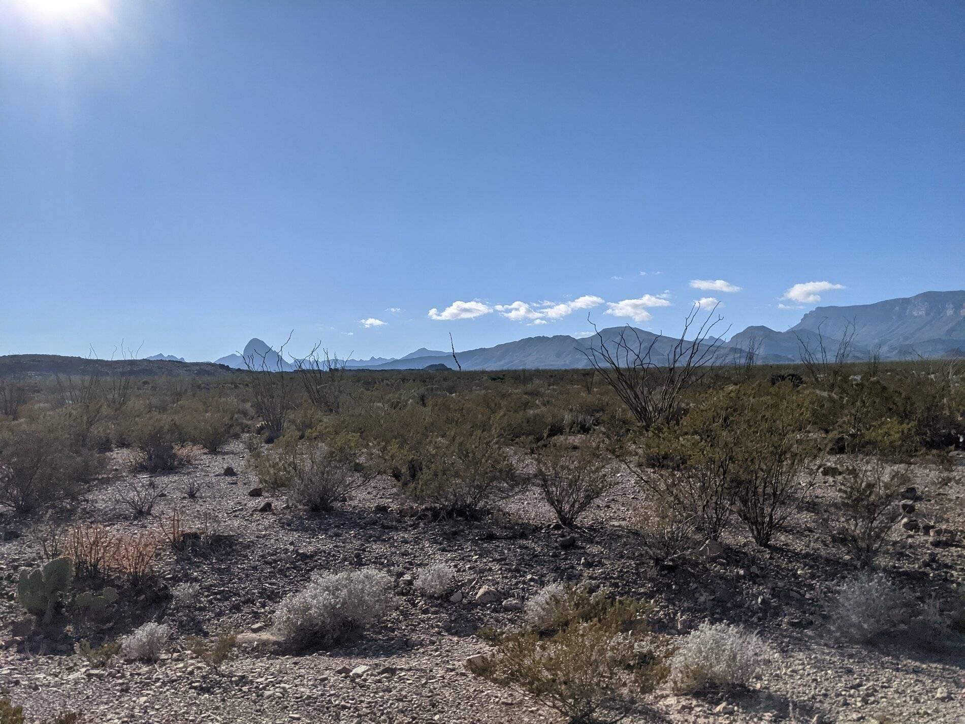 Ford Bronco Sport (Long) Trip Report: Big Bend National Park PXL_20211104_214339181